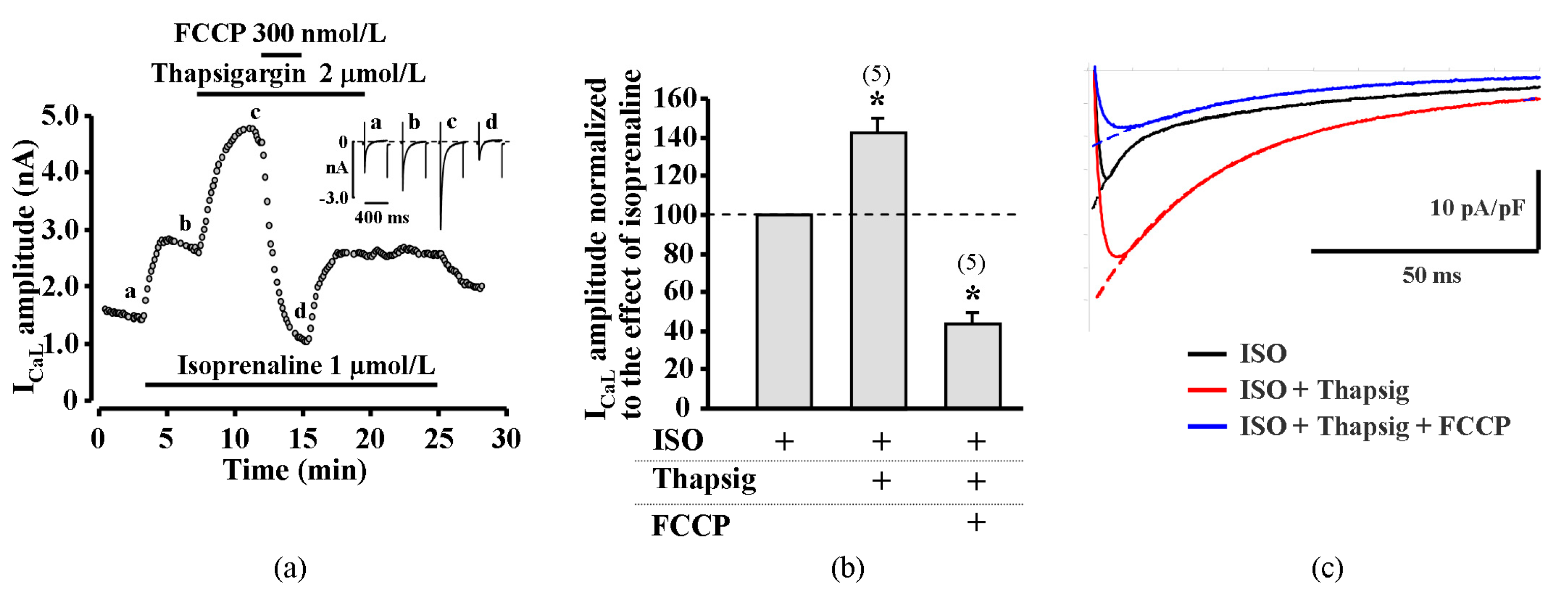 Ijms 20 01501 g003 Ijms 20 01501 g003