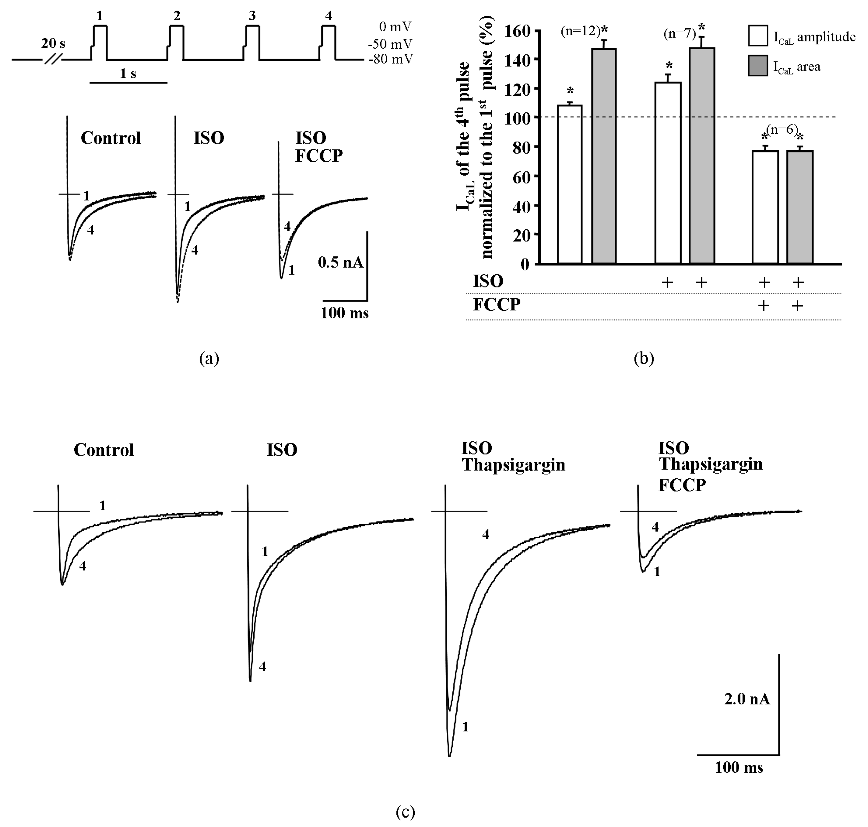 Ijms 20 01501 g004 Ijms 20 01501 g004
