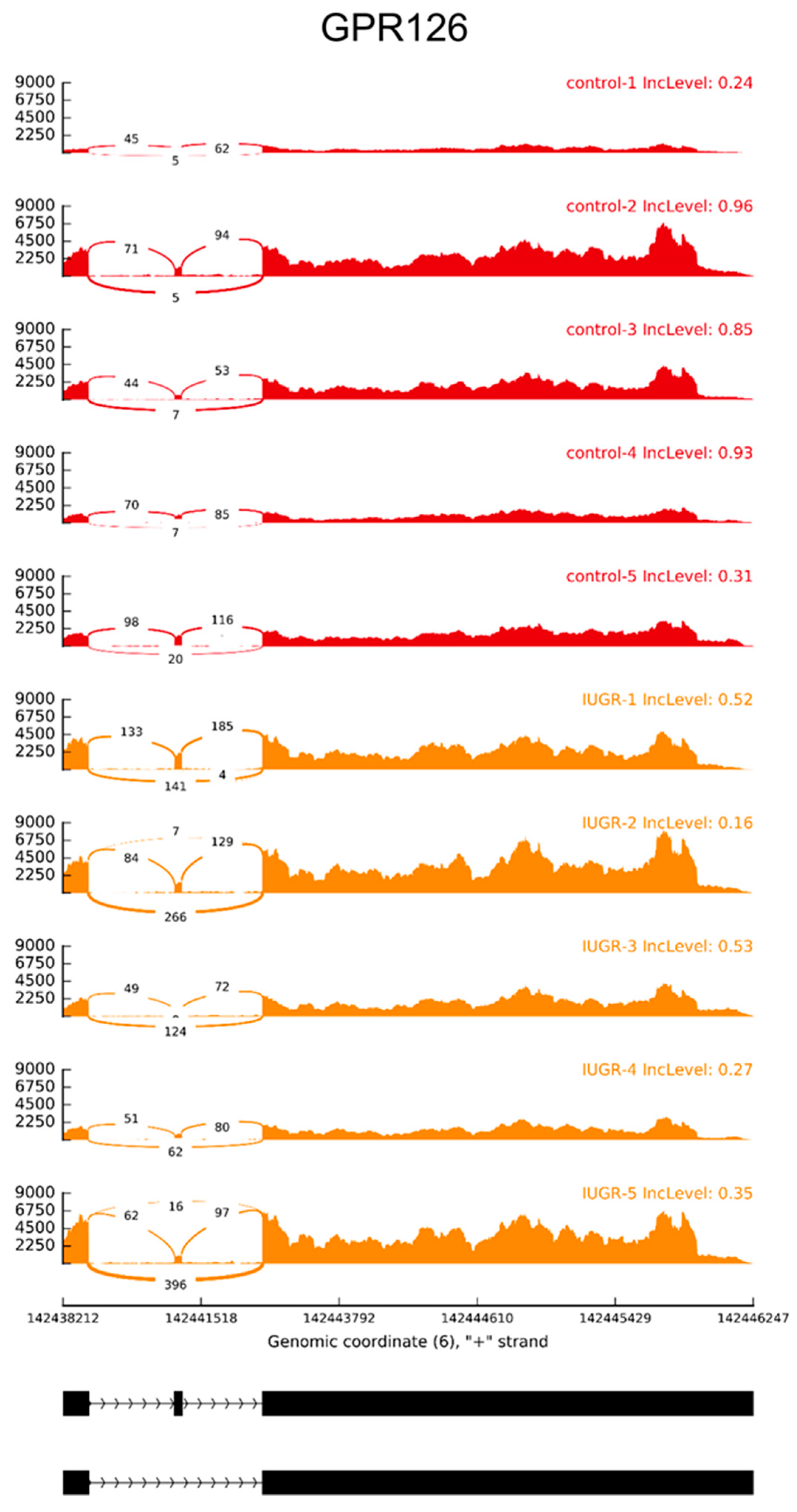 Ijms 20 01510 g005 Ijms 20 01510 g005
