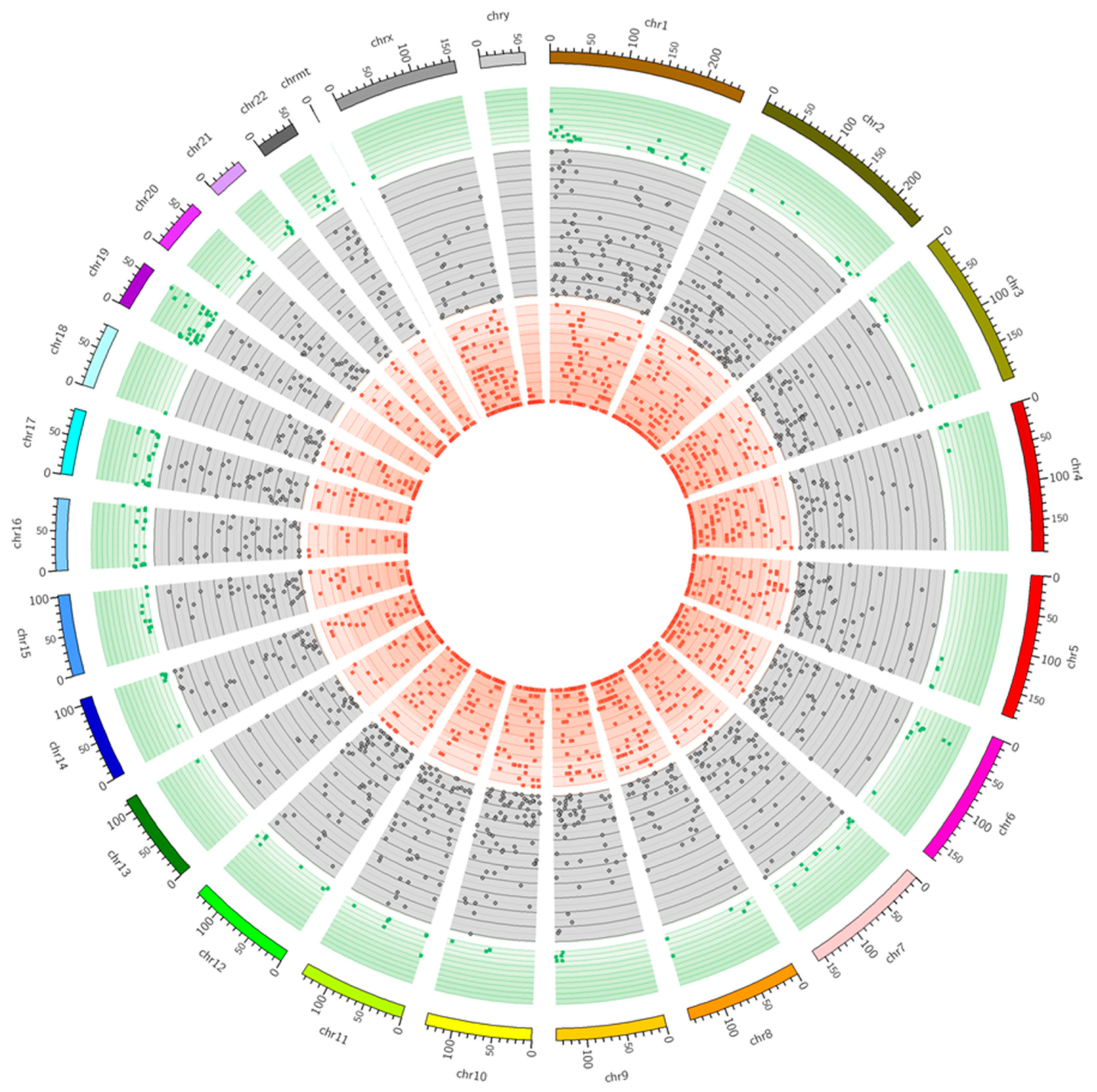 Ijms 20 01510 g006 Ijms 20 01510 g006