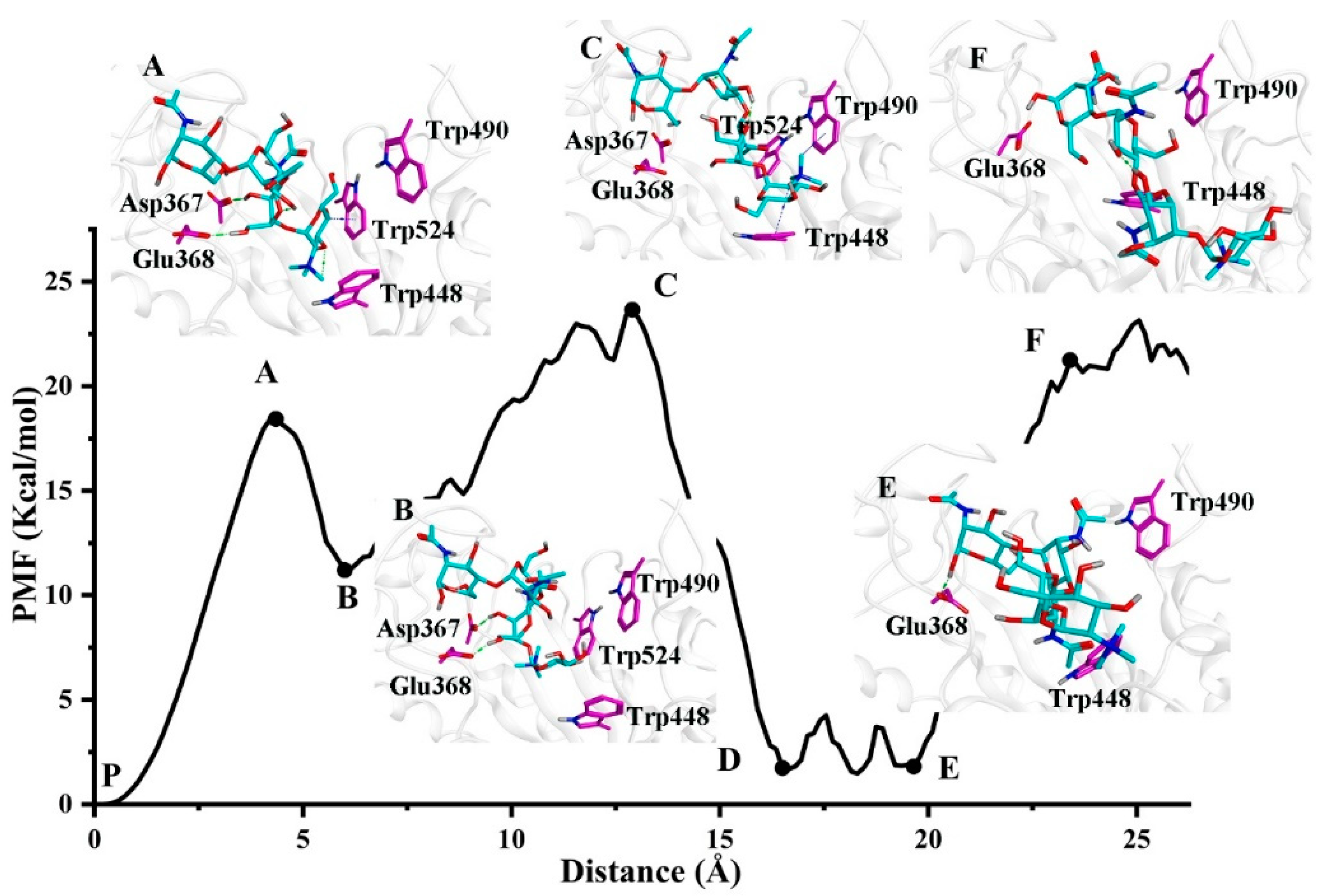 Ijms 20 01516 g007 Ijms 20 01516 g007