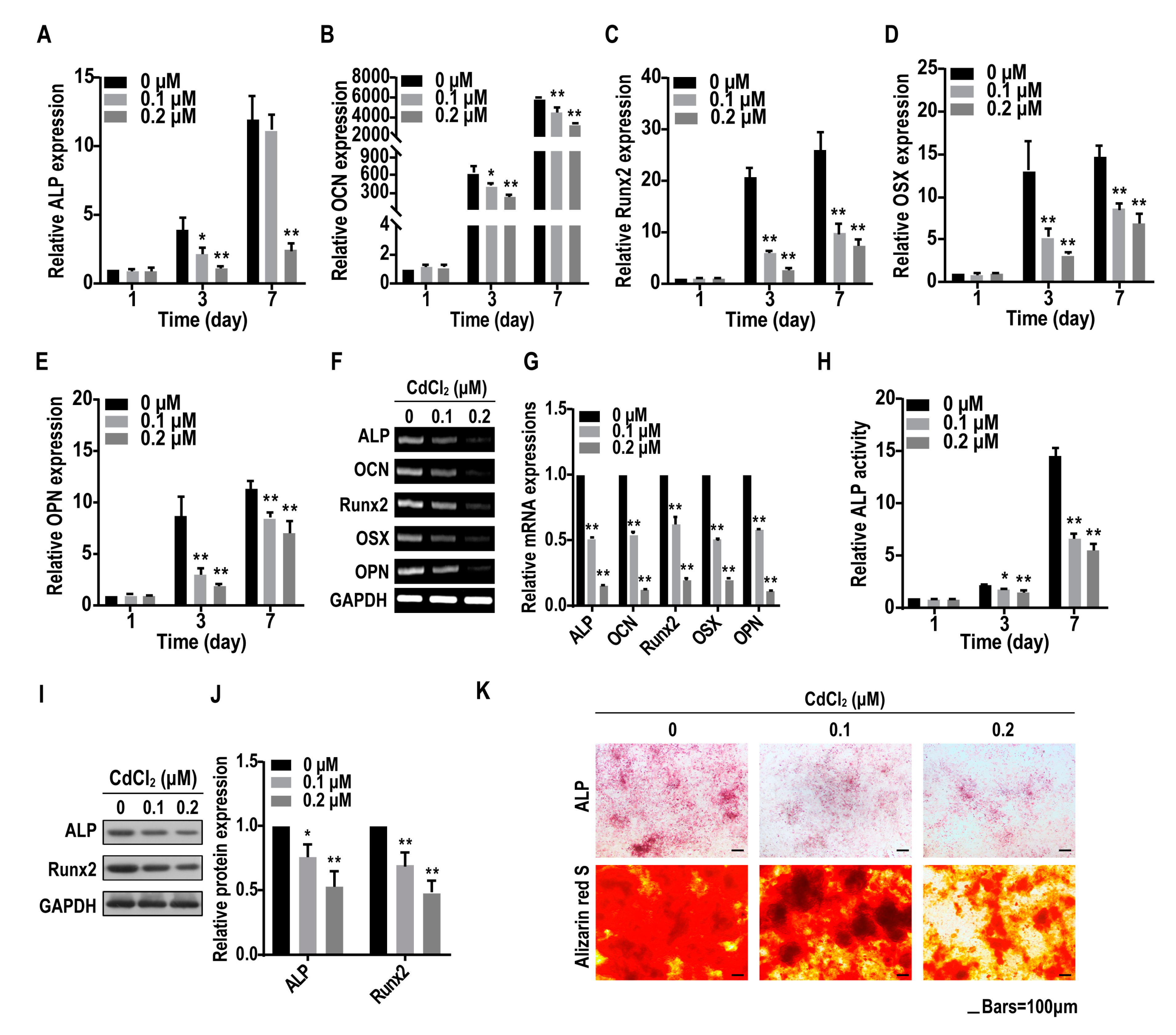 Ijms 20 01519 g003 Ijms 20 01519 g003