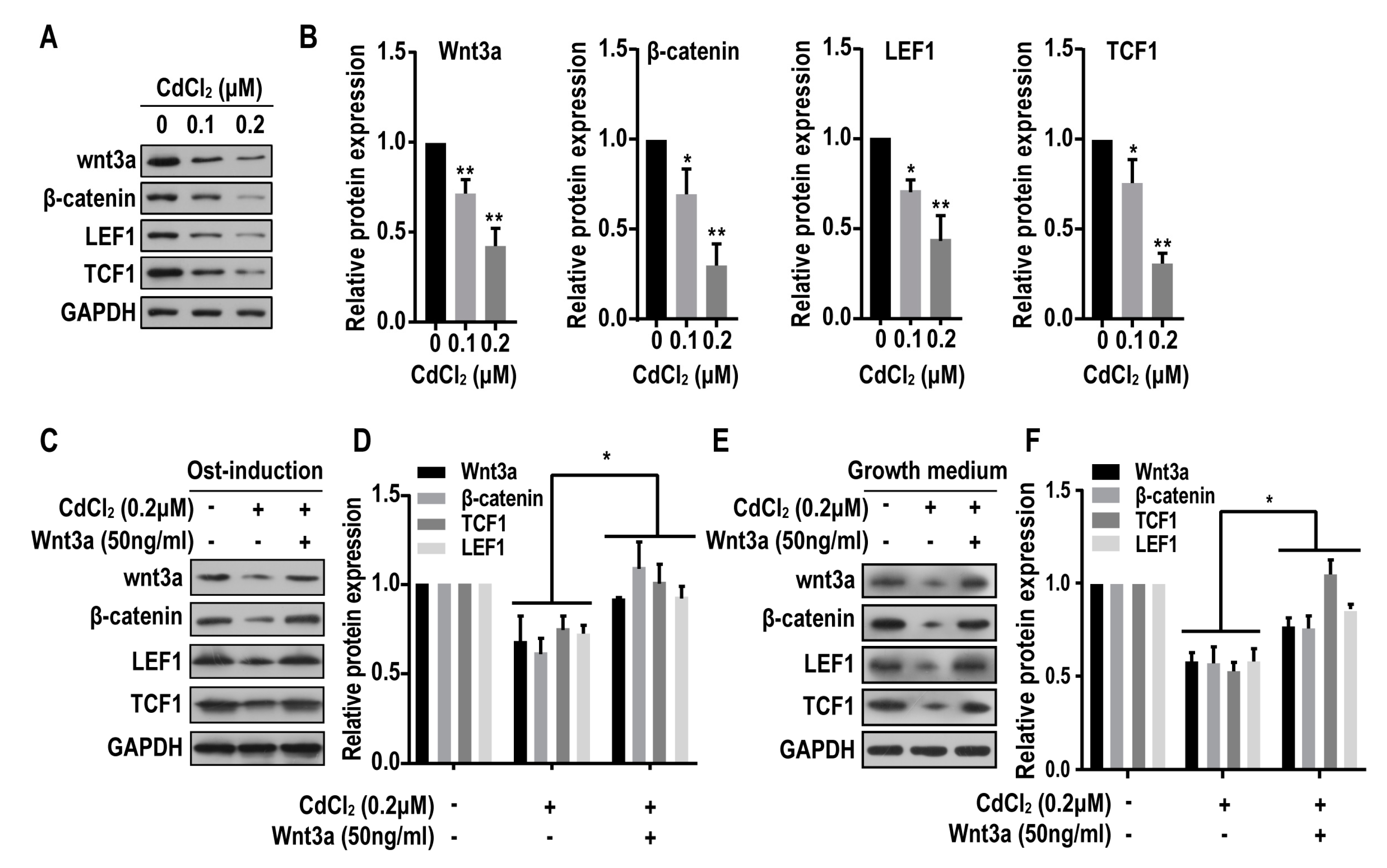 Ijms 20 01519 g005 Ijms 20 01519 g005
