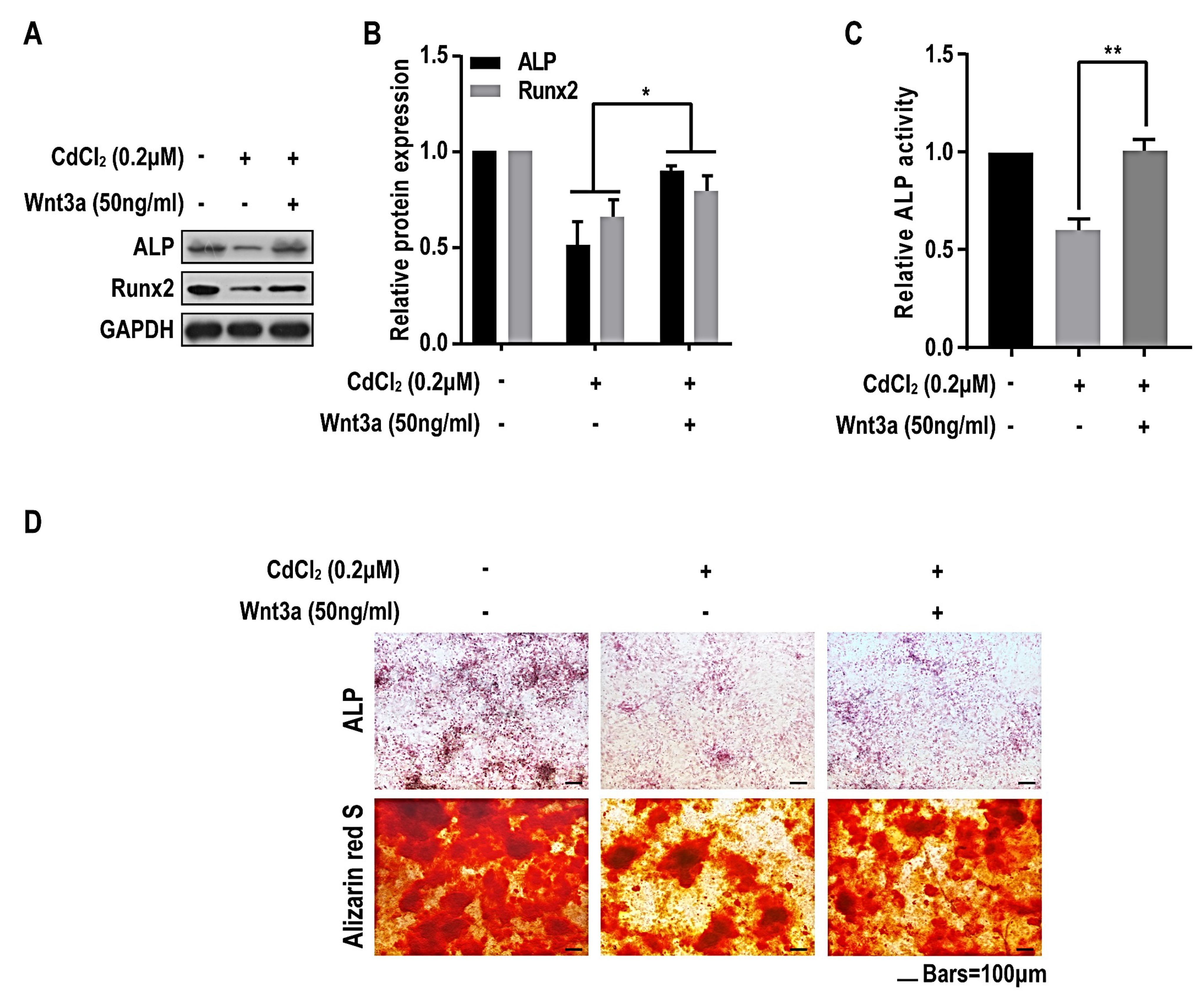 Ijms 20 01519 g006 Ijms 20 01519 g006