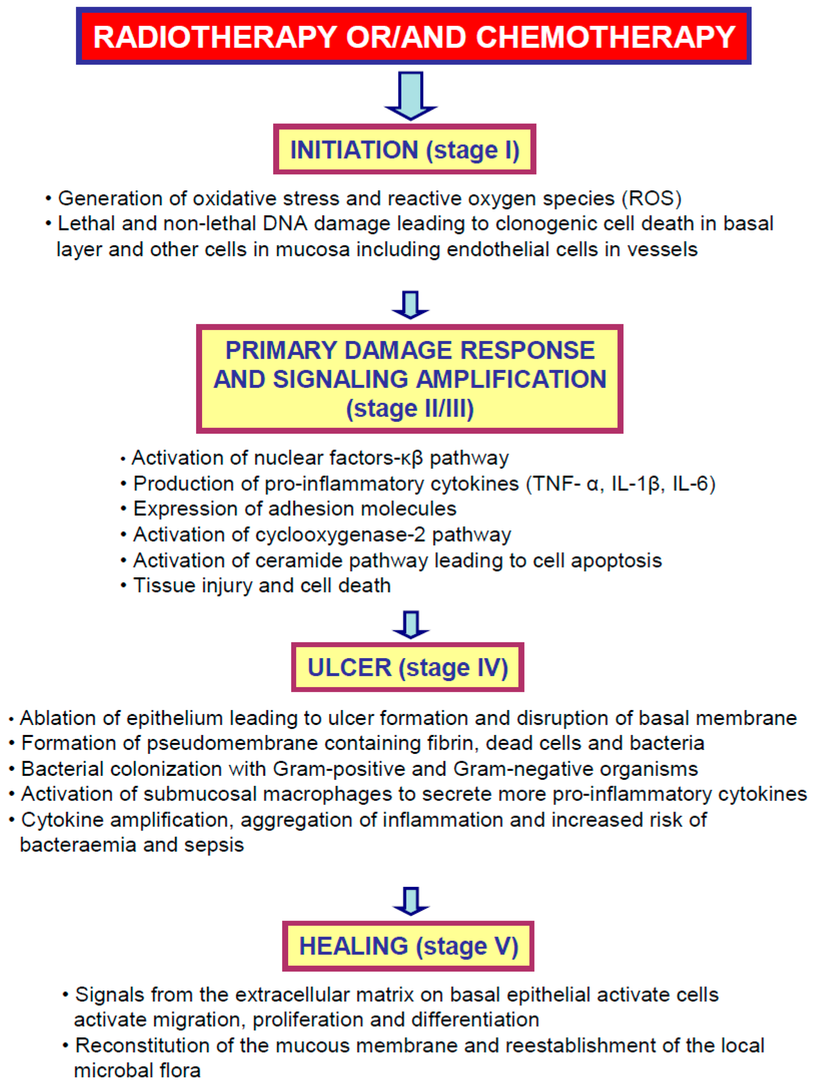 Ijms Free Full Text Potential Therapeutic Effects Of Gut Hormones Ghrelin And Obestatin In Oral Mucositis Html