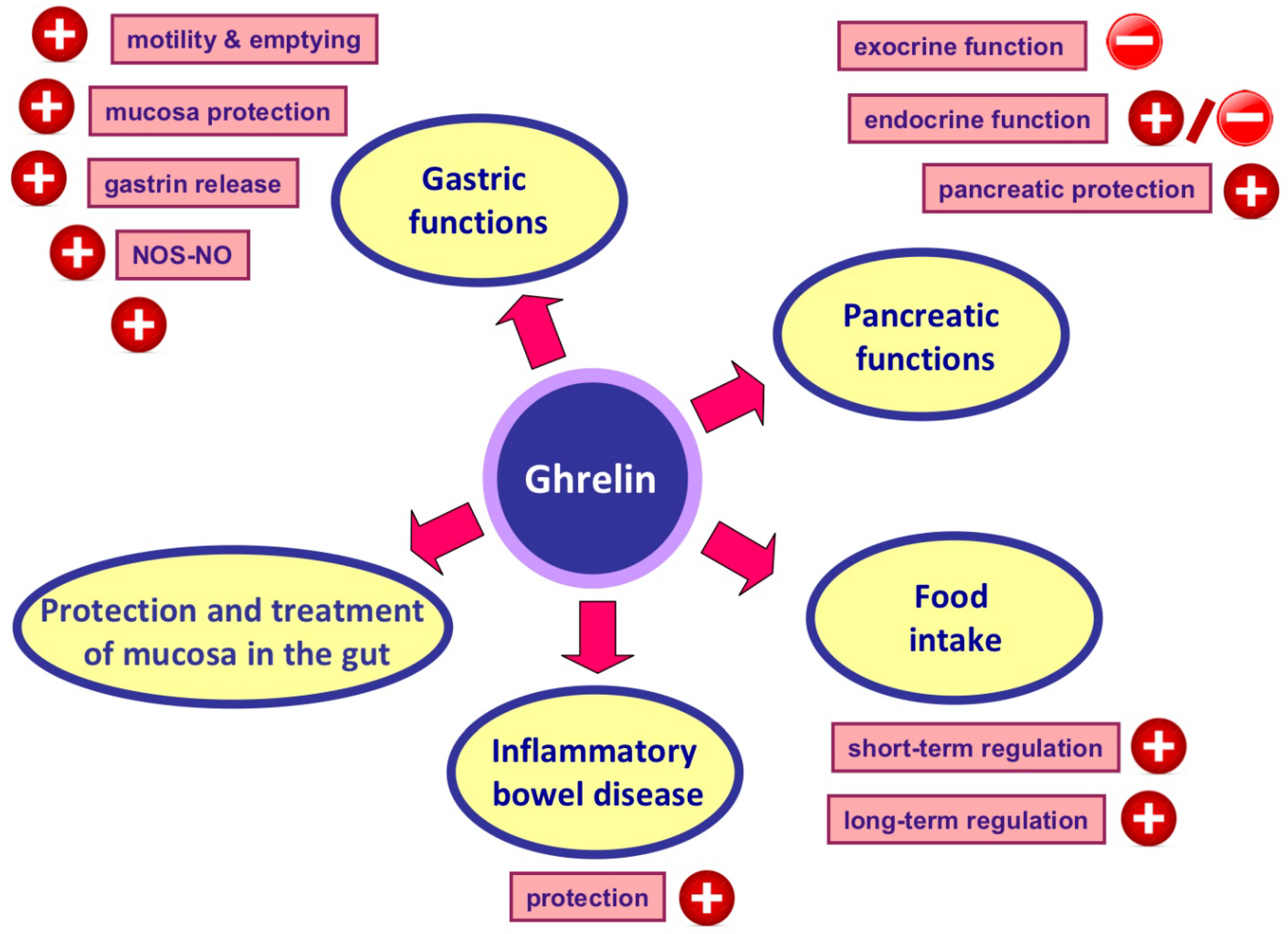 Ijms 20 01534 g002 Ijms 20 01534 g002