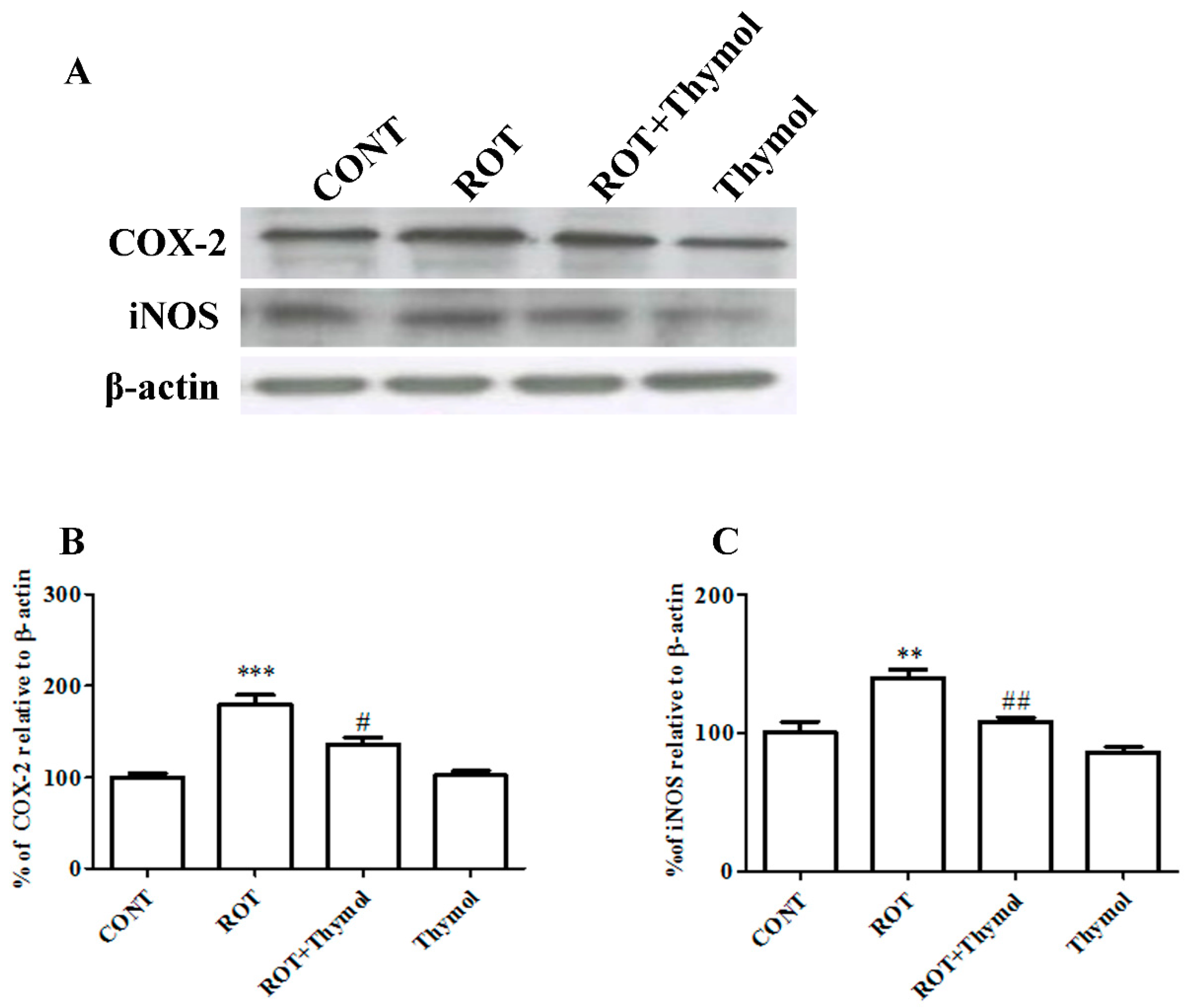 Ijms 20 01538 g006