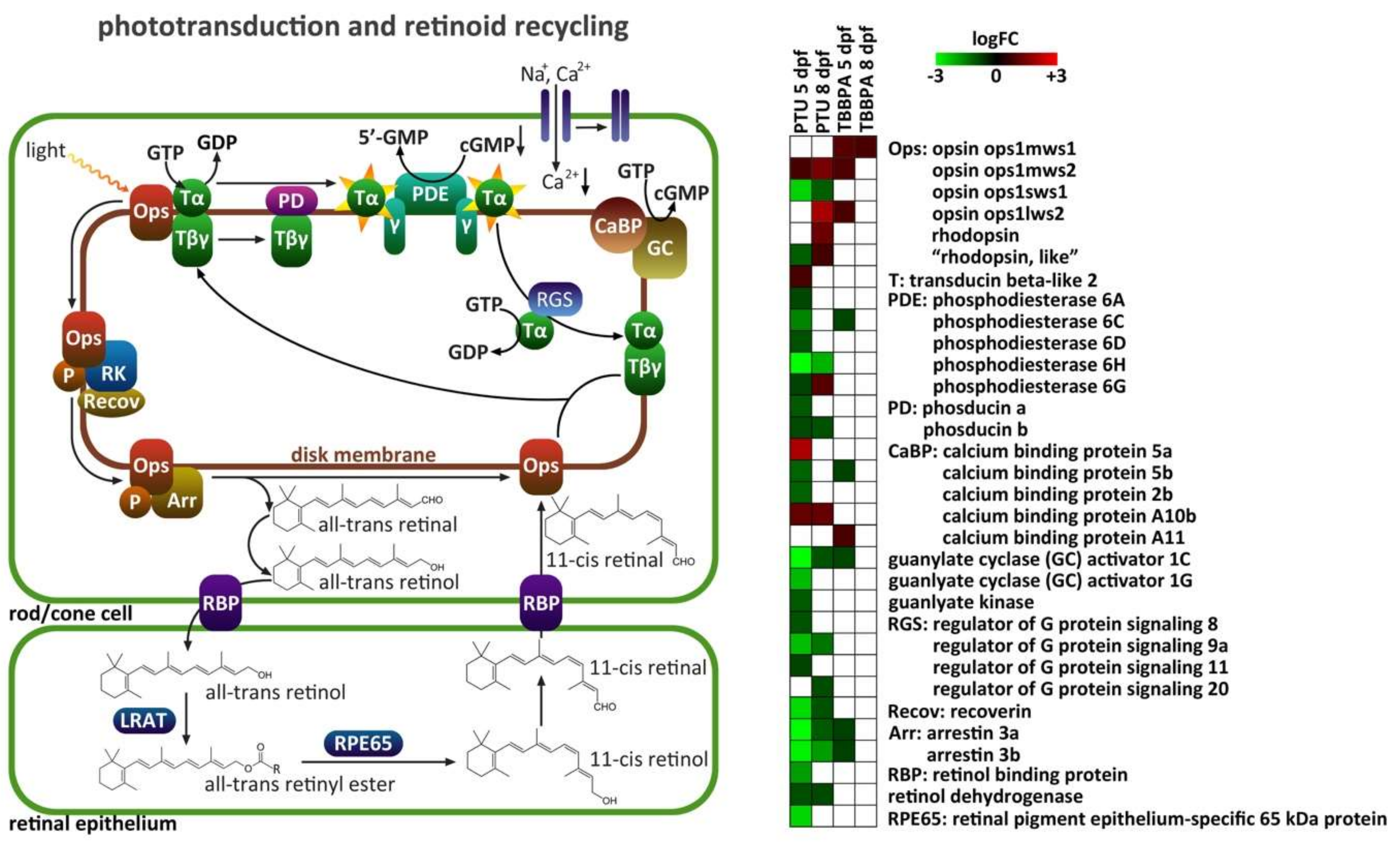 Ijms 20 01543 g004 550