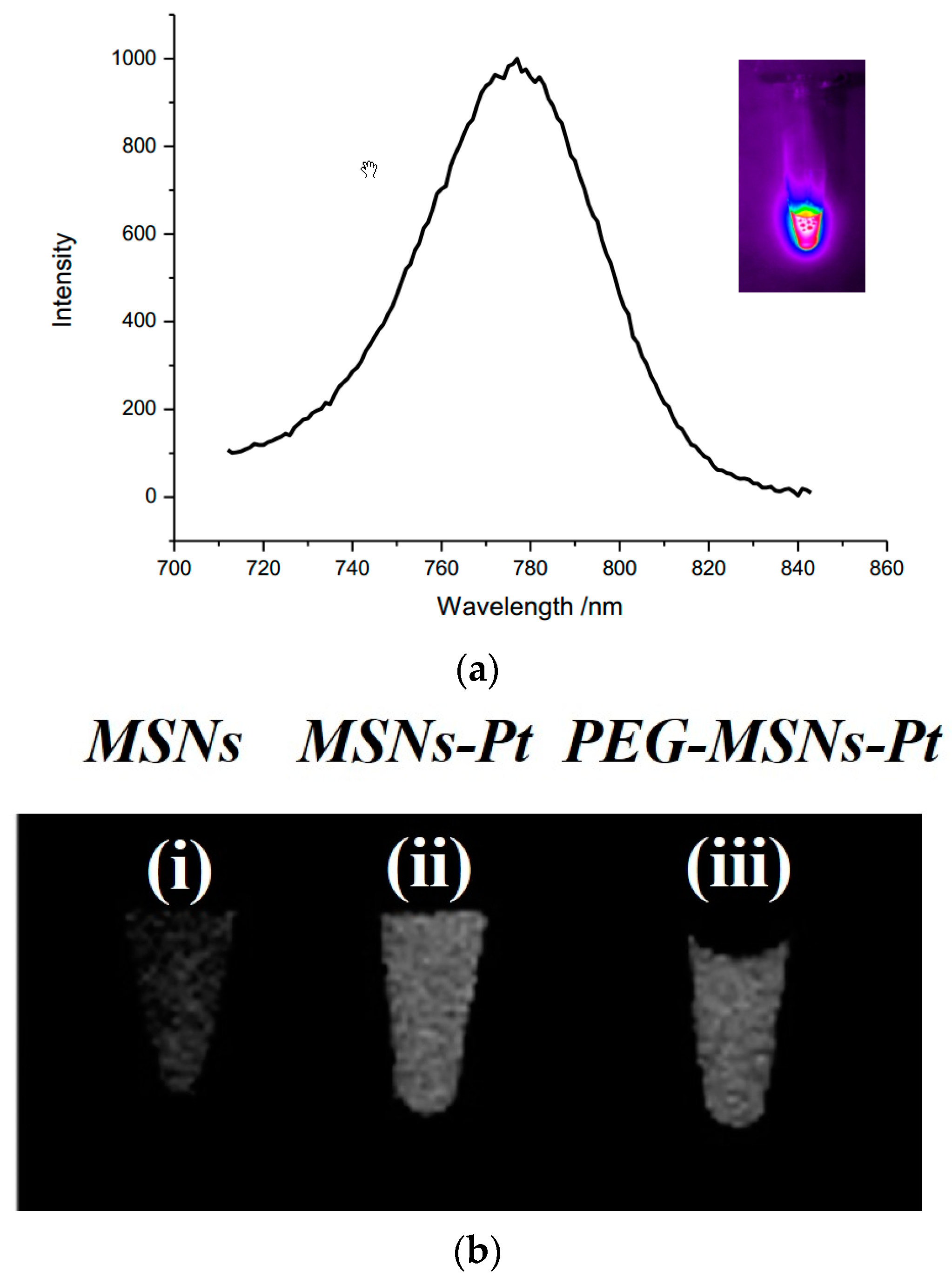 Ijms 20 01560 g004