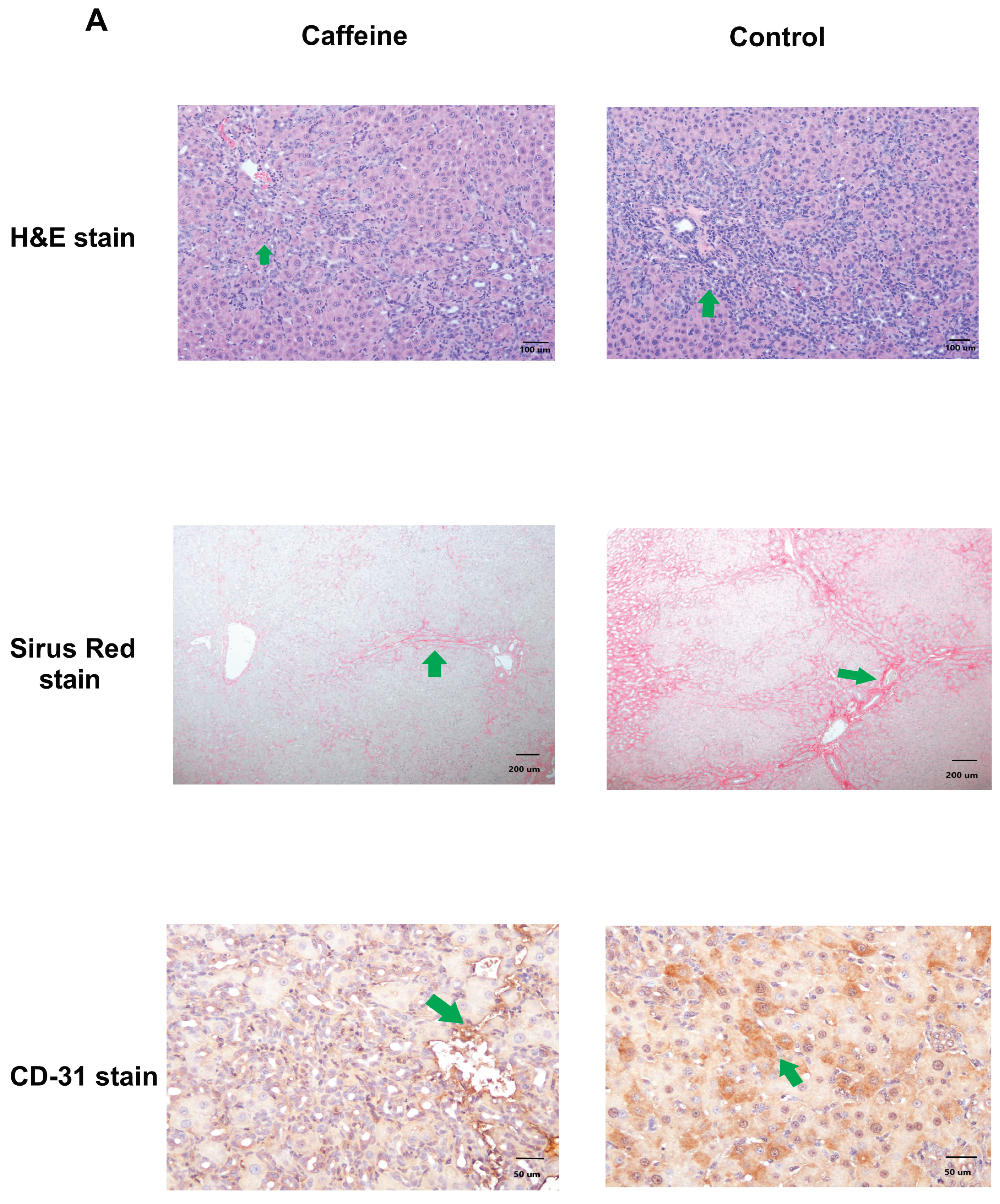 Ijms 20 01566 g001a Ijms 20 01566 g001a