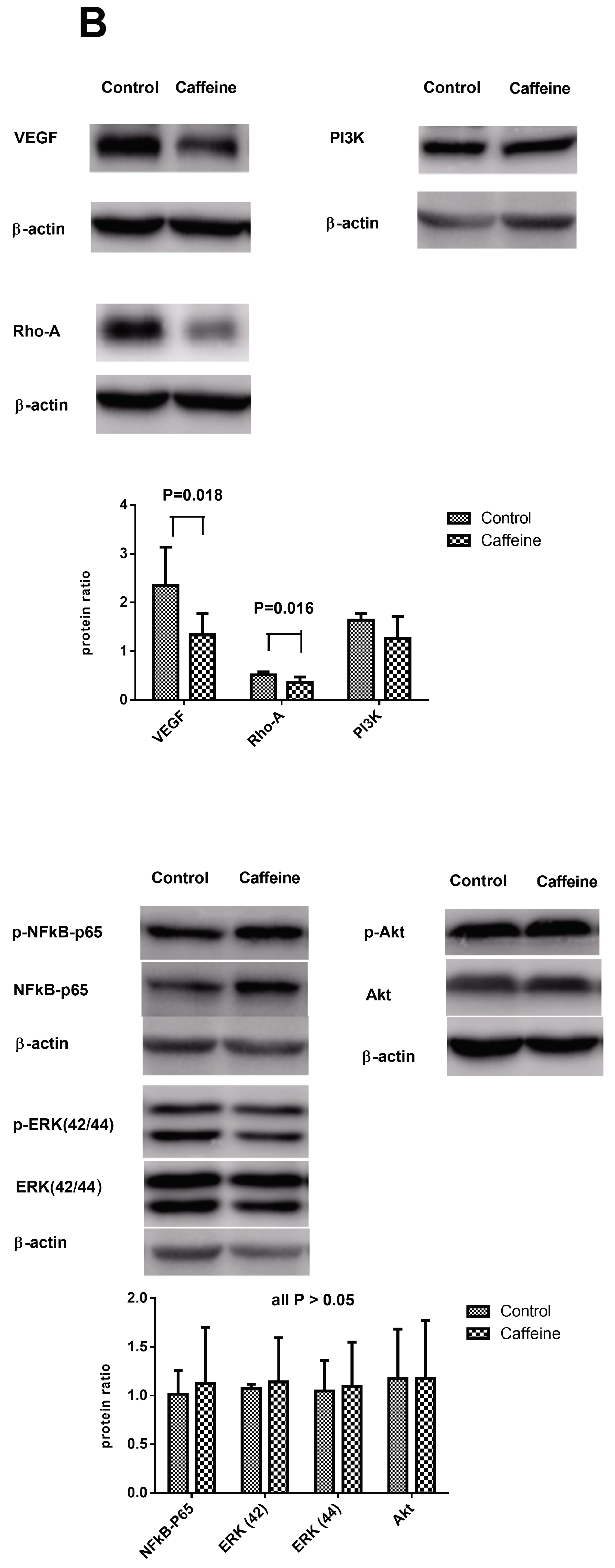Ijms 20 01566 g001b Ijms 20 01566 g001b