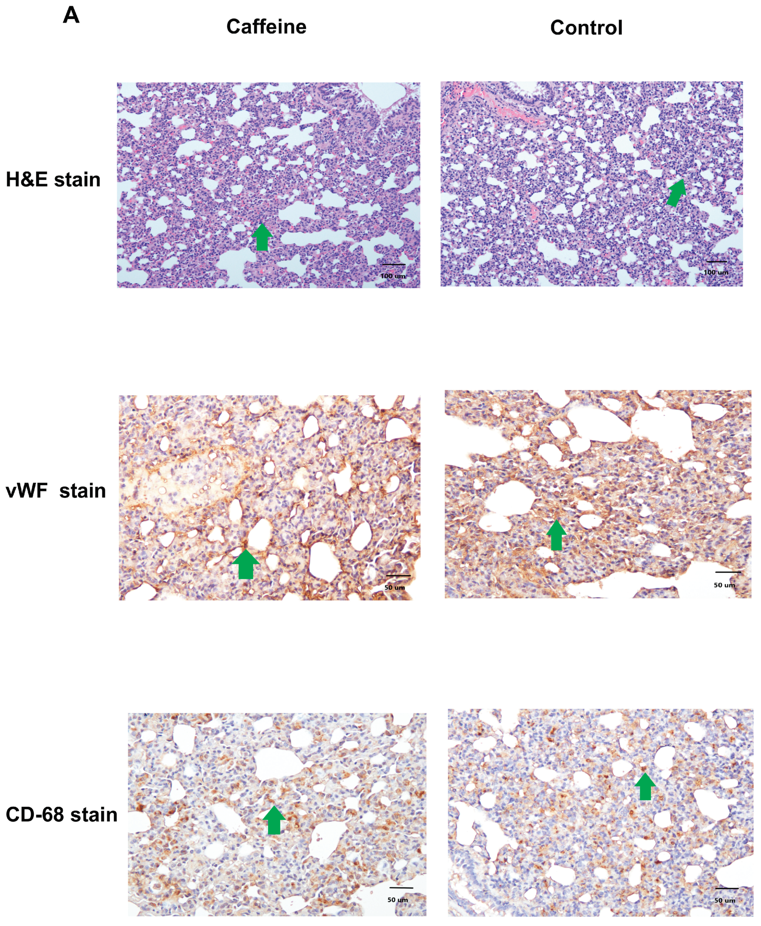 Ijms 20 01566 g002a Ijms 20 01566 g002a