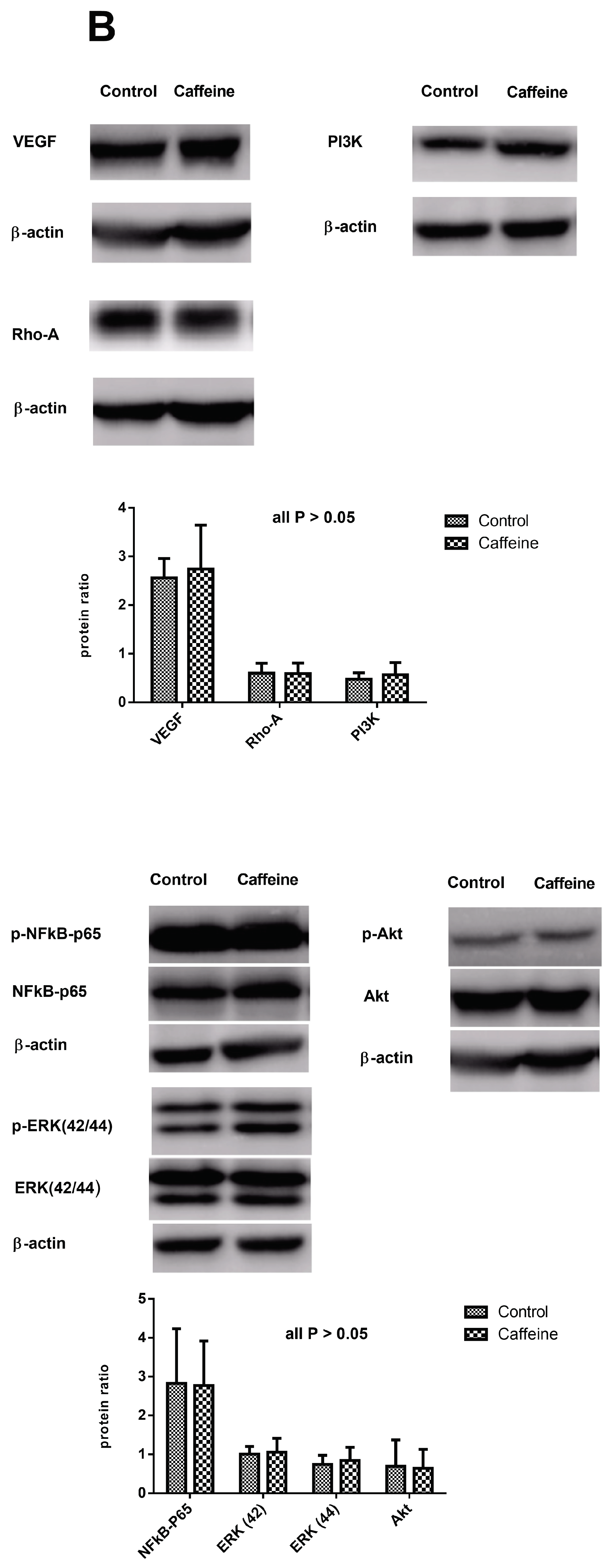 Ijms 20 01566 g002b Ijms 20 01566 g002b
