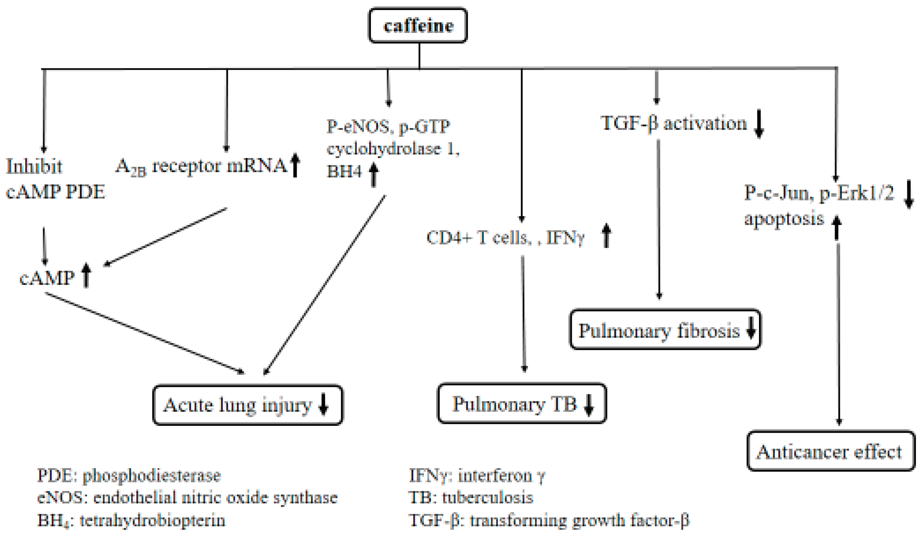 Ijms 20 01566 g004 Ijms 20 01566 g004