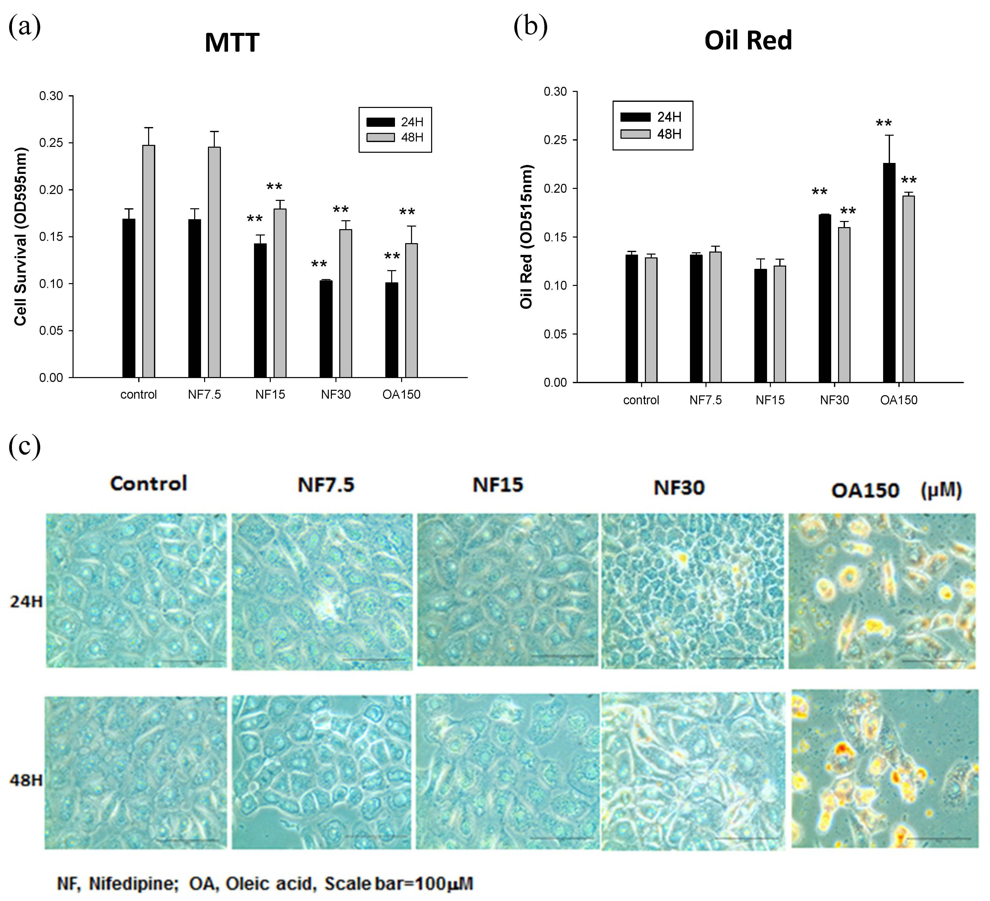 Ijms 20 01570 g001 Ijms 20 01570 g001