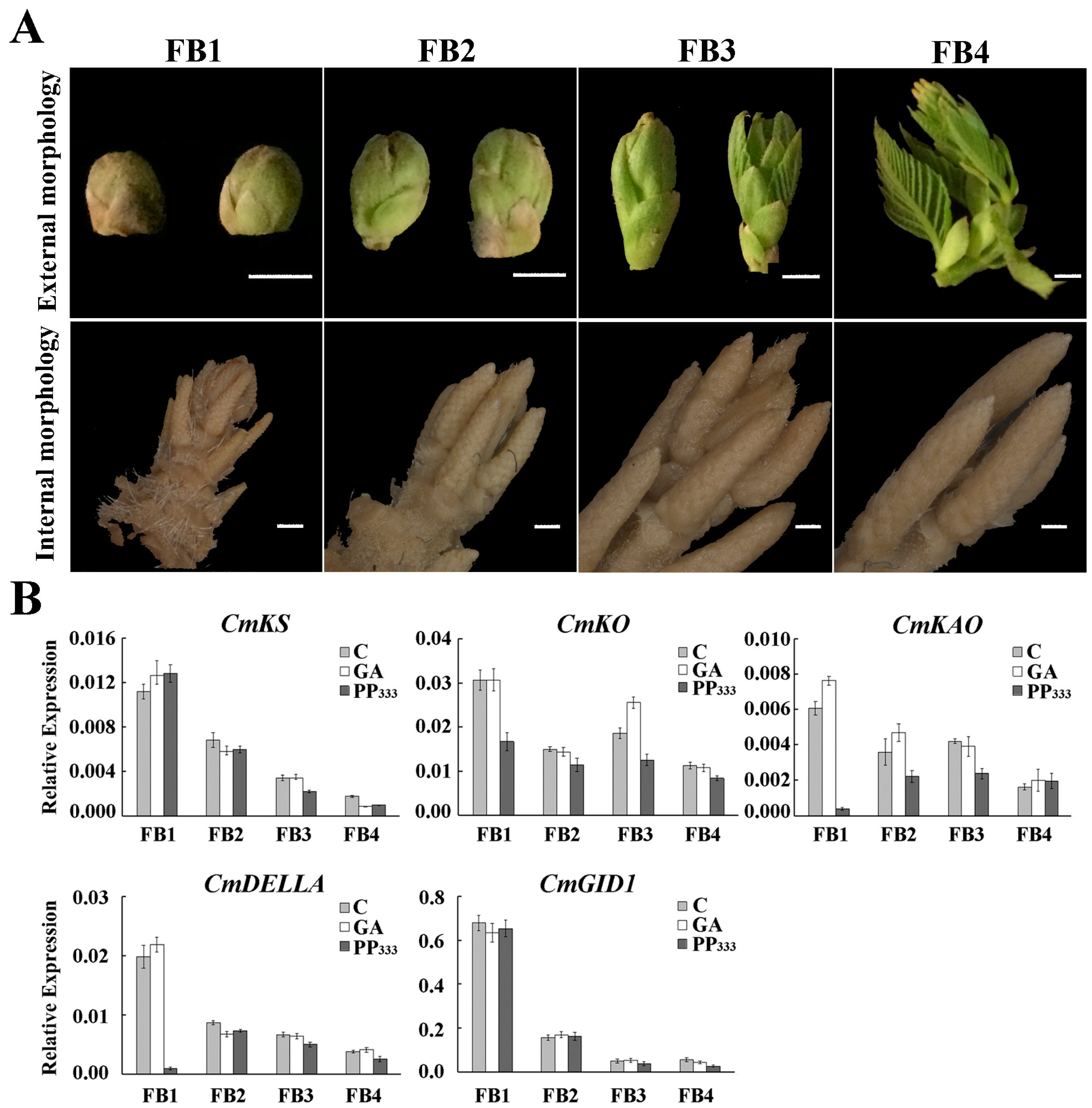 Ijms 20 01577 g001 Ijms 20 01577 g001