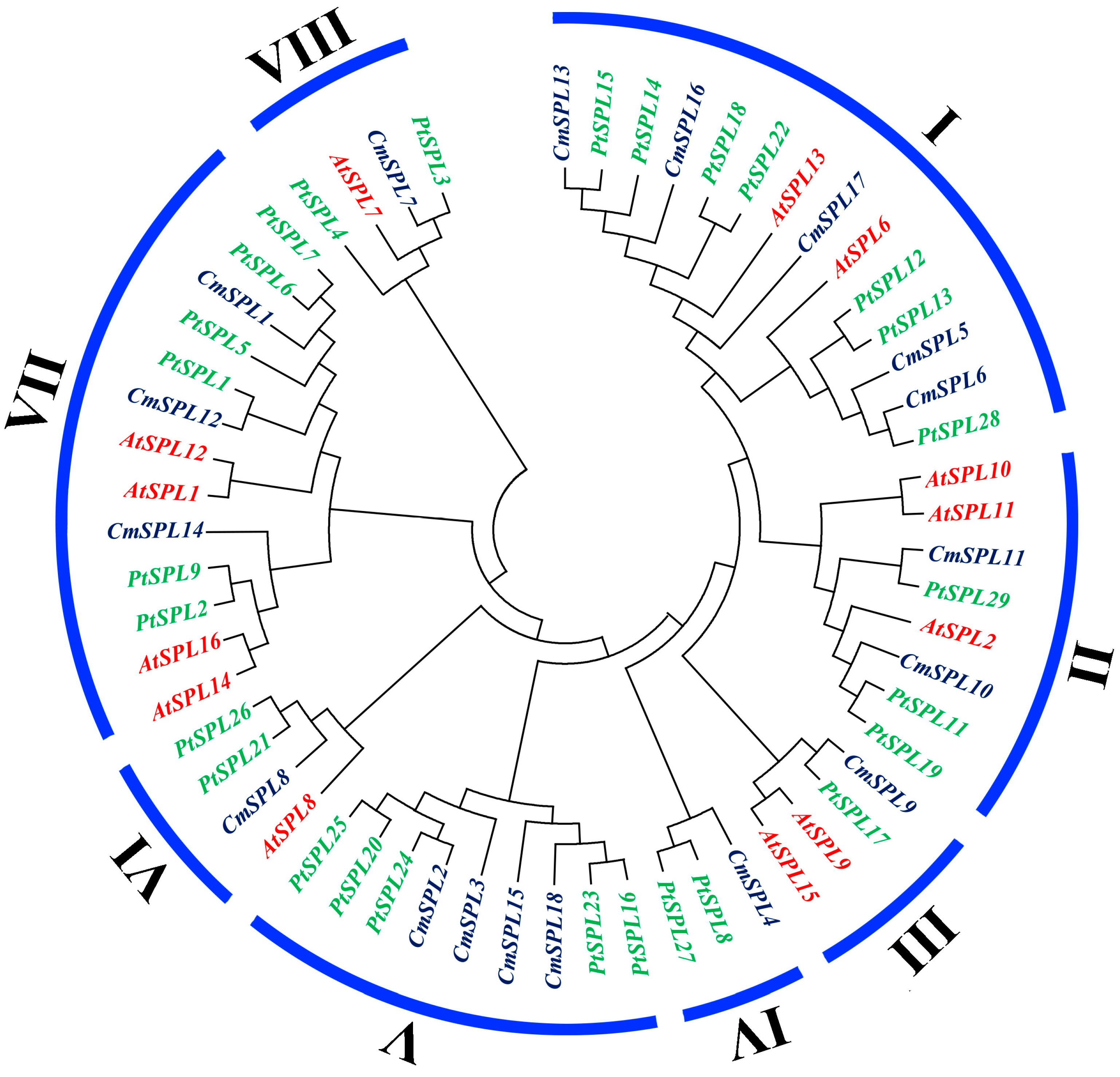 Ijms 20 01577 g003 Ijms 20 01577 g003