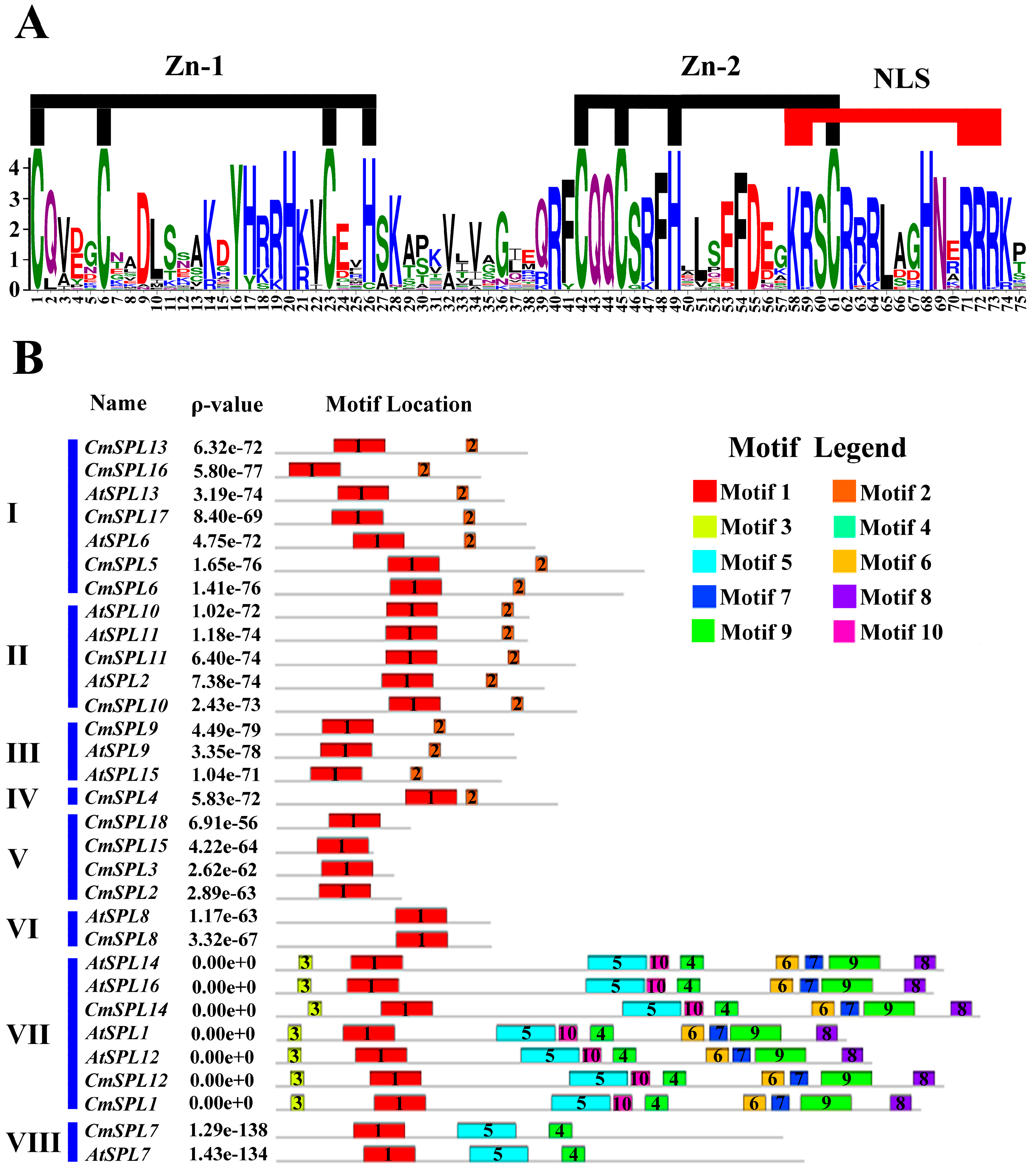 Ijms 20 01577 g004 Ijms 20 01577 g004