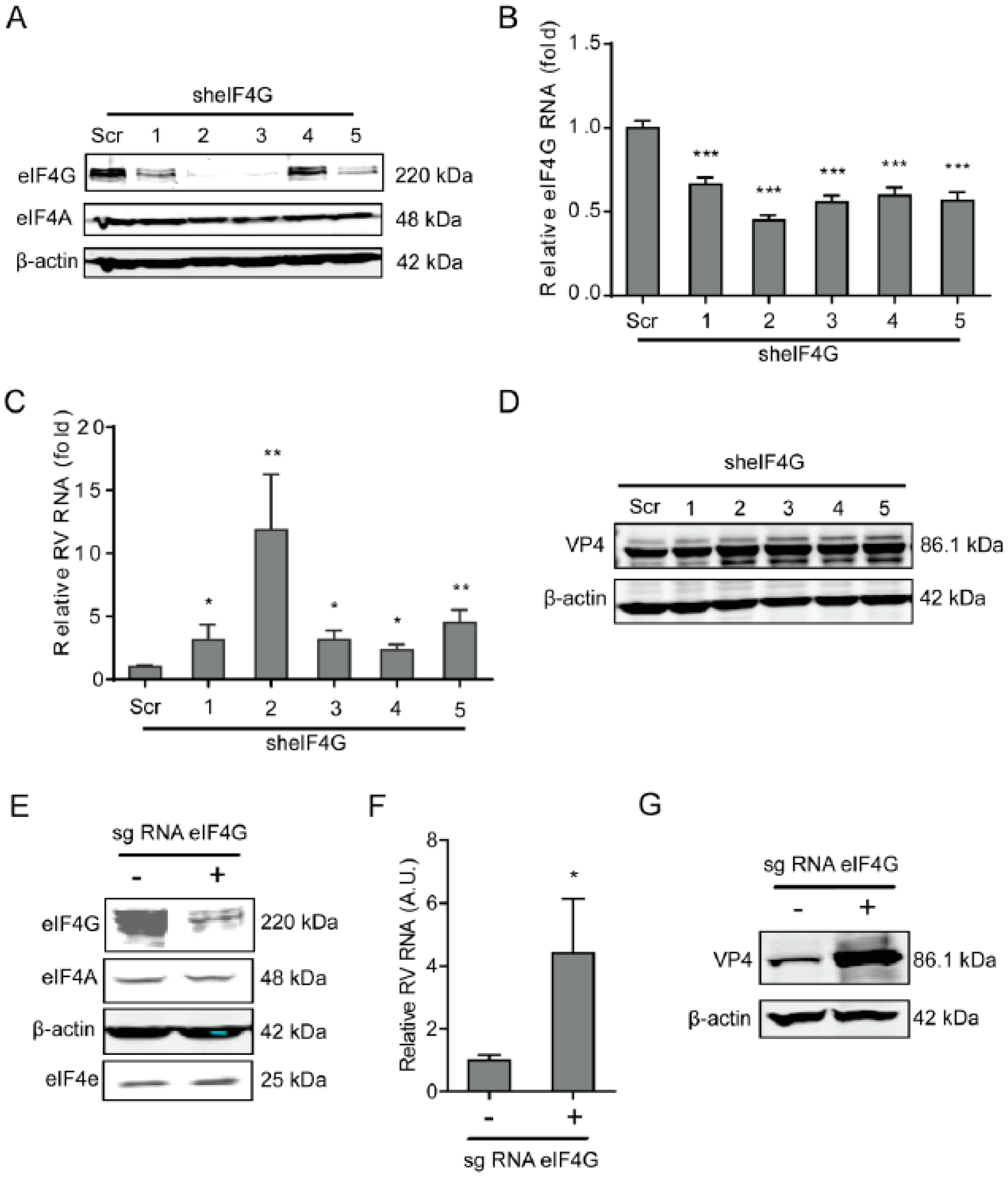 Ijms 20 01580 g003 Ijms 20 01580 g003
