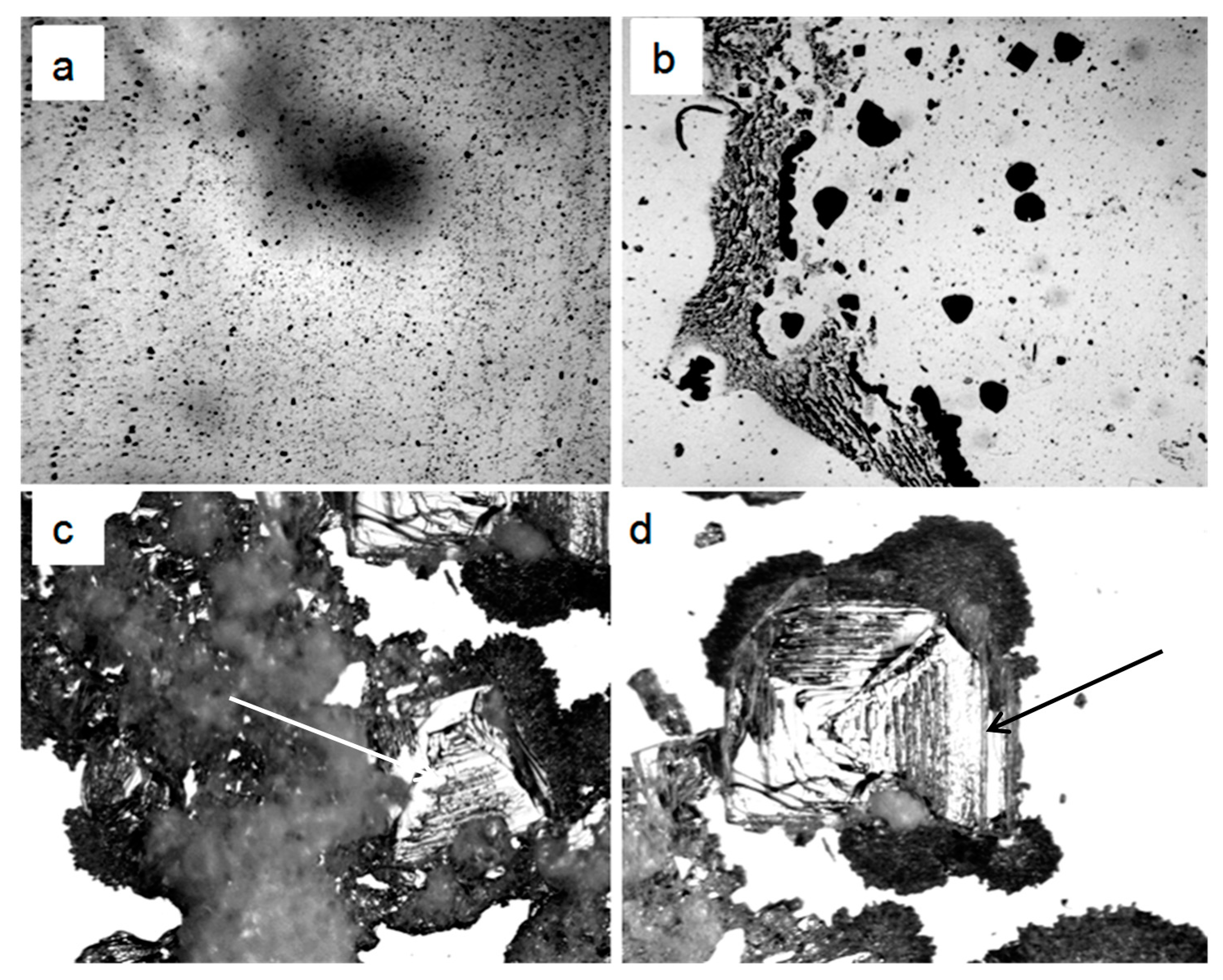 Ijms 20 01582 g002 550