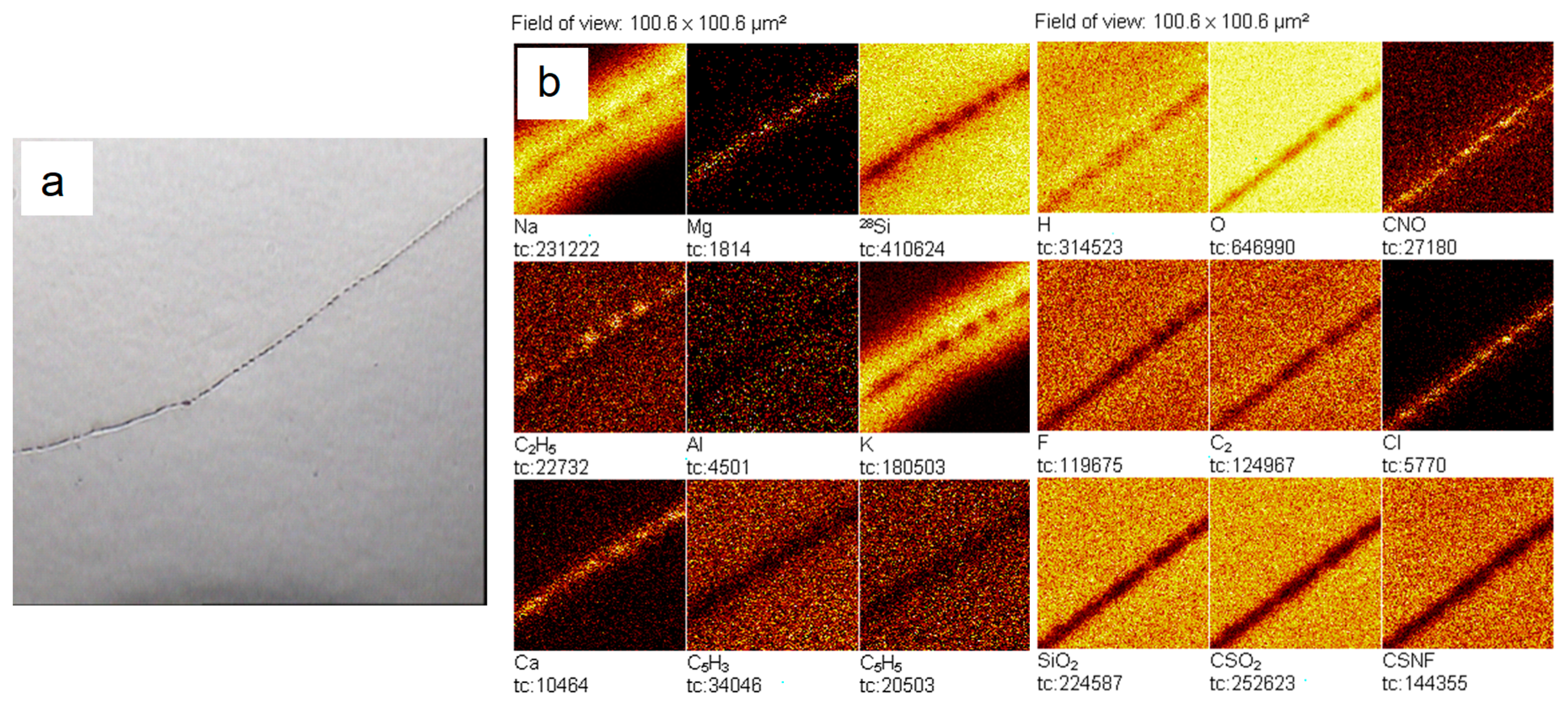 Ijms 20 01582 g008 550