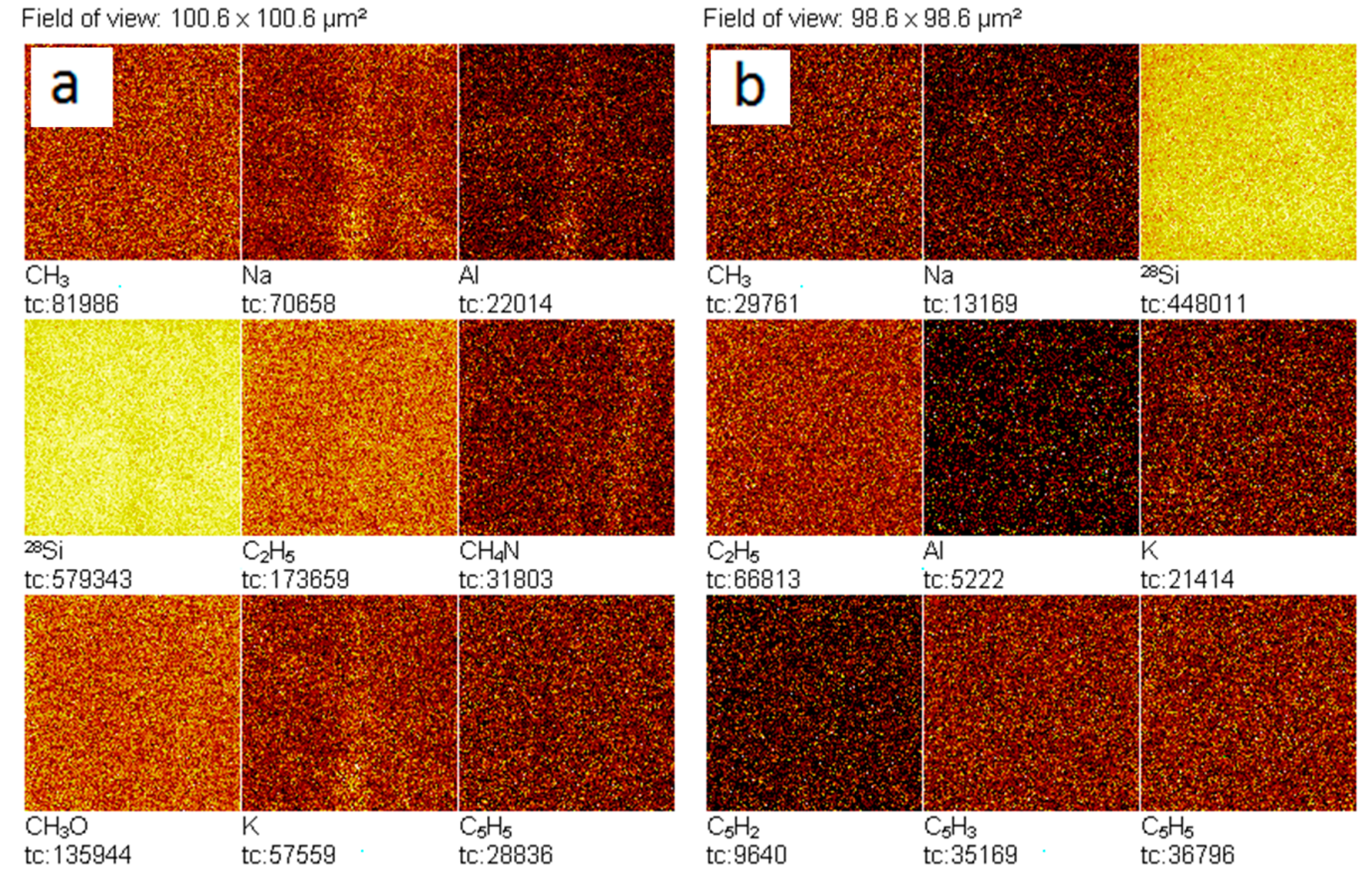 Ijms 20 01582 g009 550