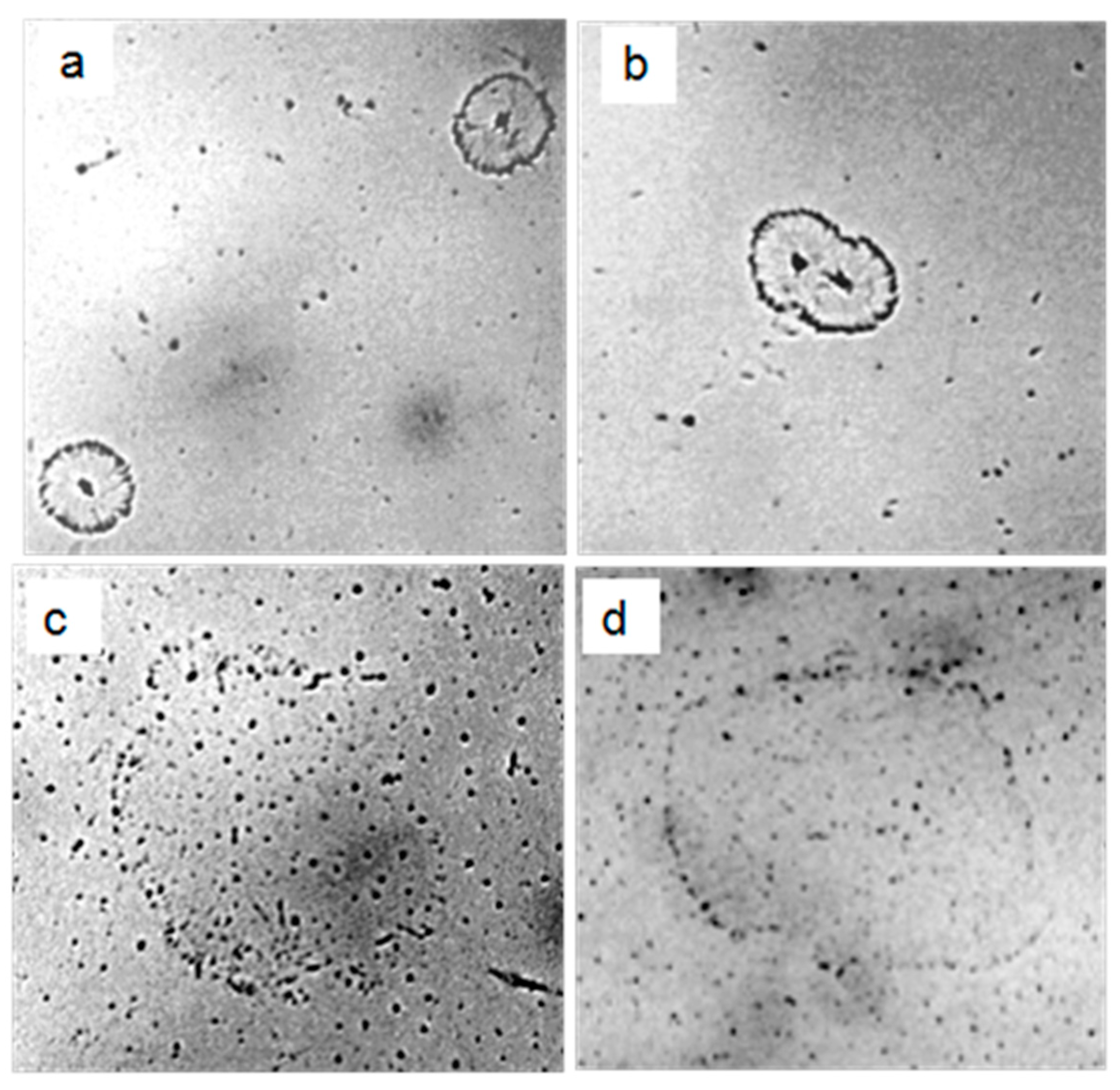 Ijms 20 01582 g011 550