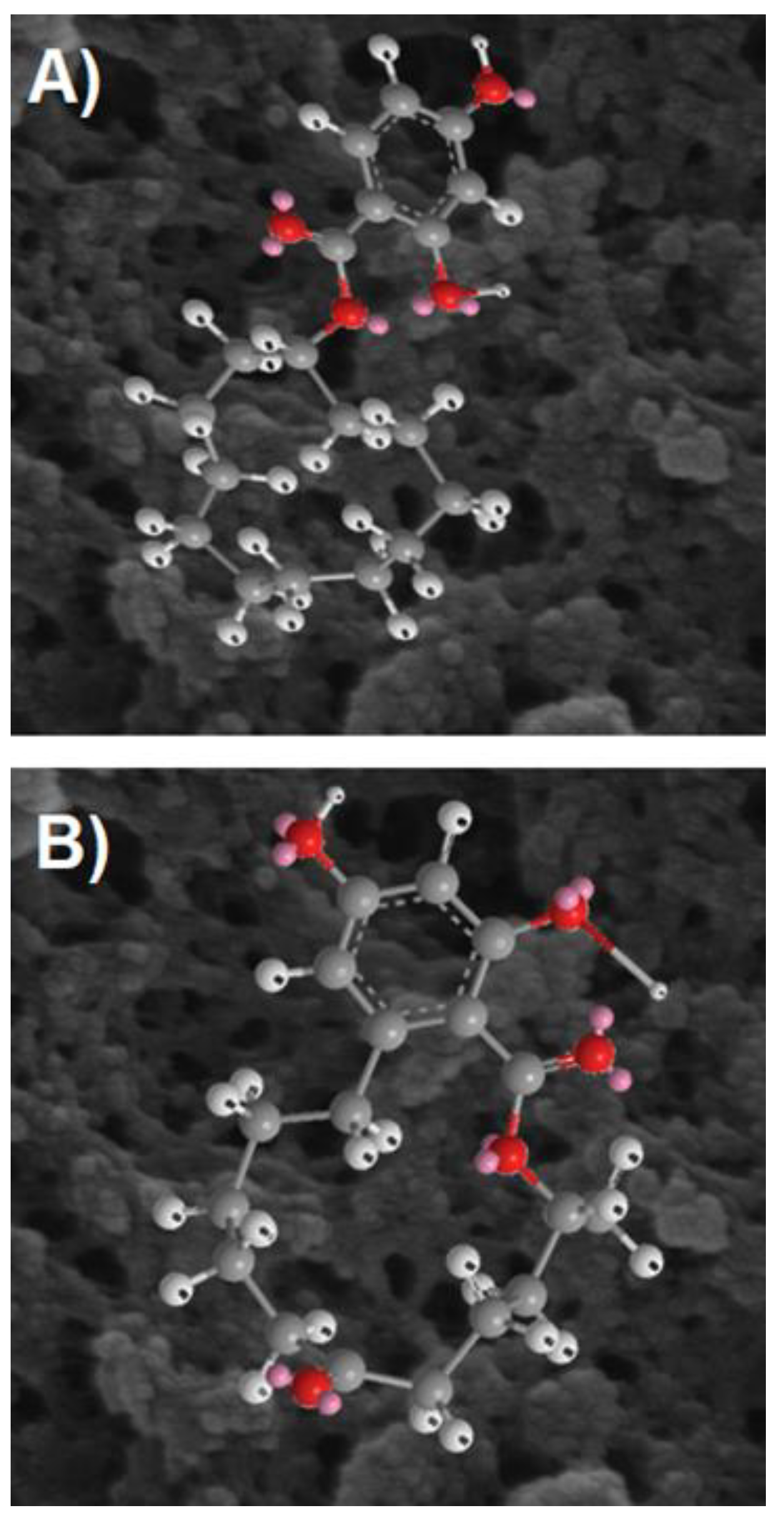 Ijms 20 01588 g013 550