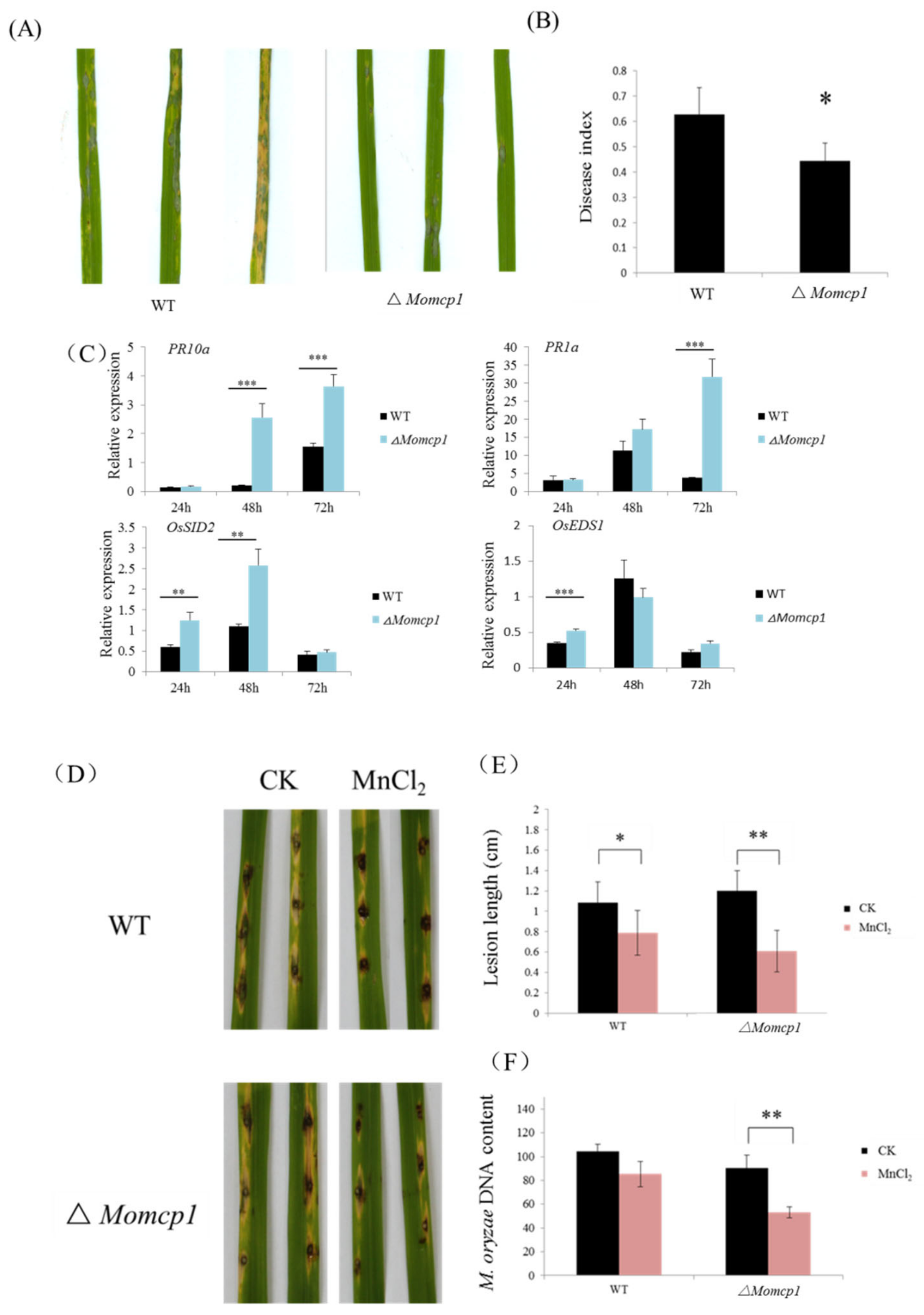 Ijms 20 01590 g002 Ijms 20 01590 g002