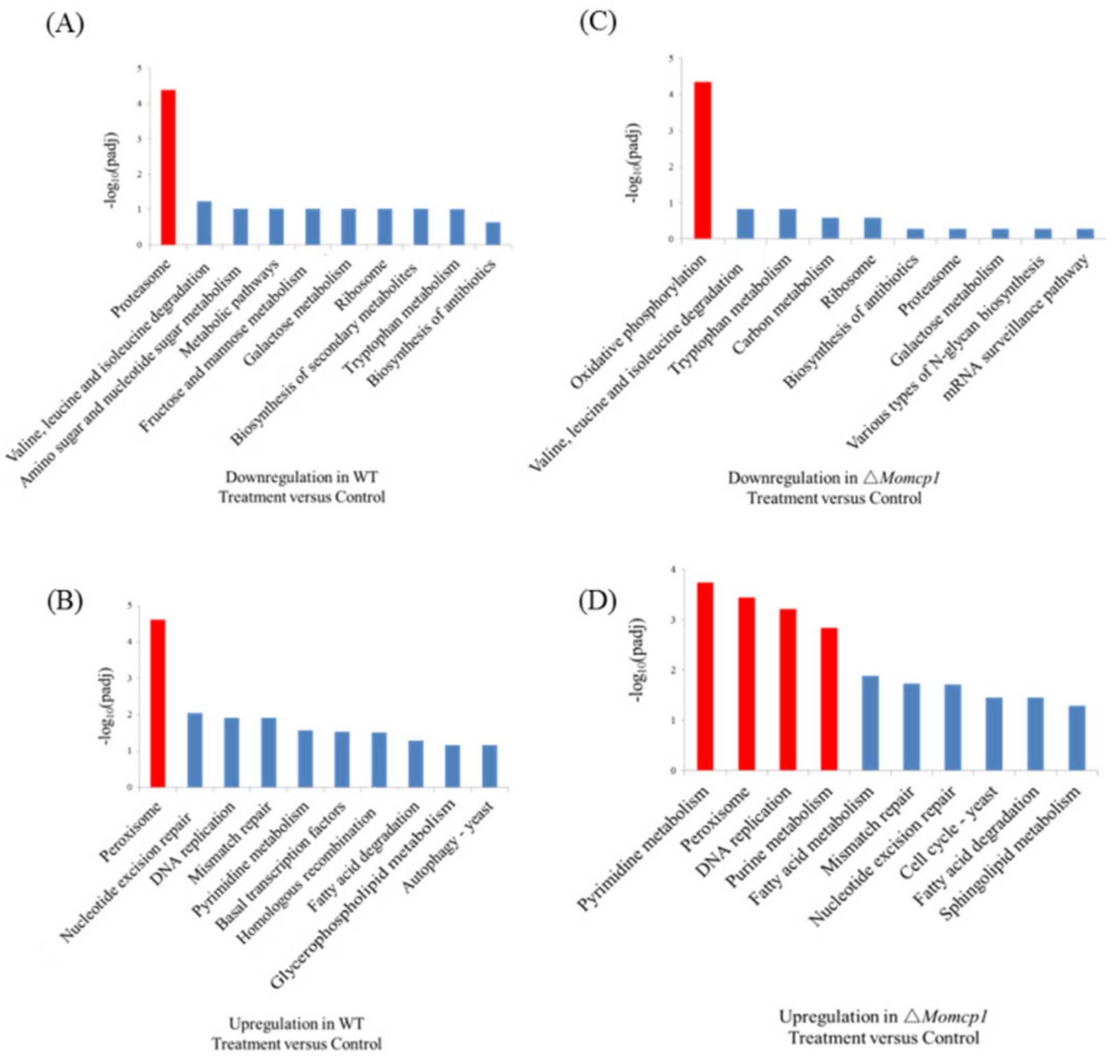 Ijms 20 01590 g007 Ijms 20 01590 g007