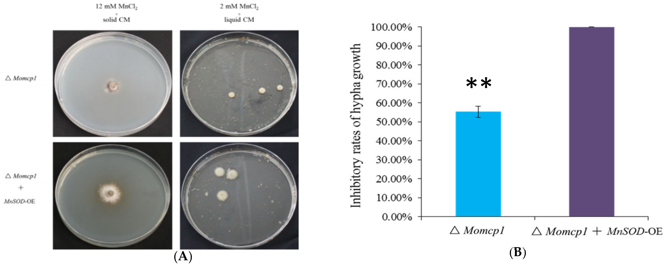 Ijms 20 01590 g008 Ijms 20 01590 g008