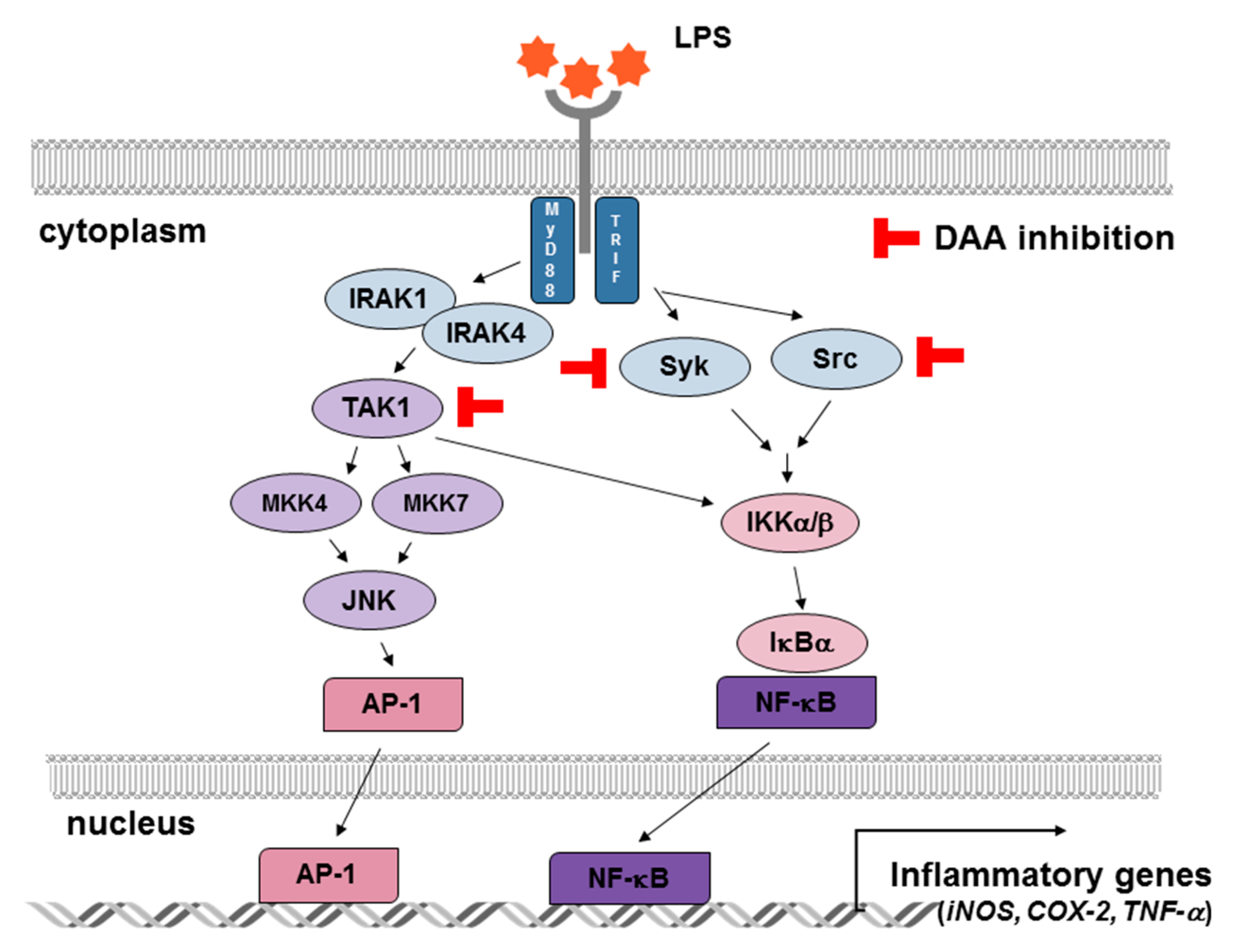 Ijms 20 01593 g006 550