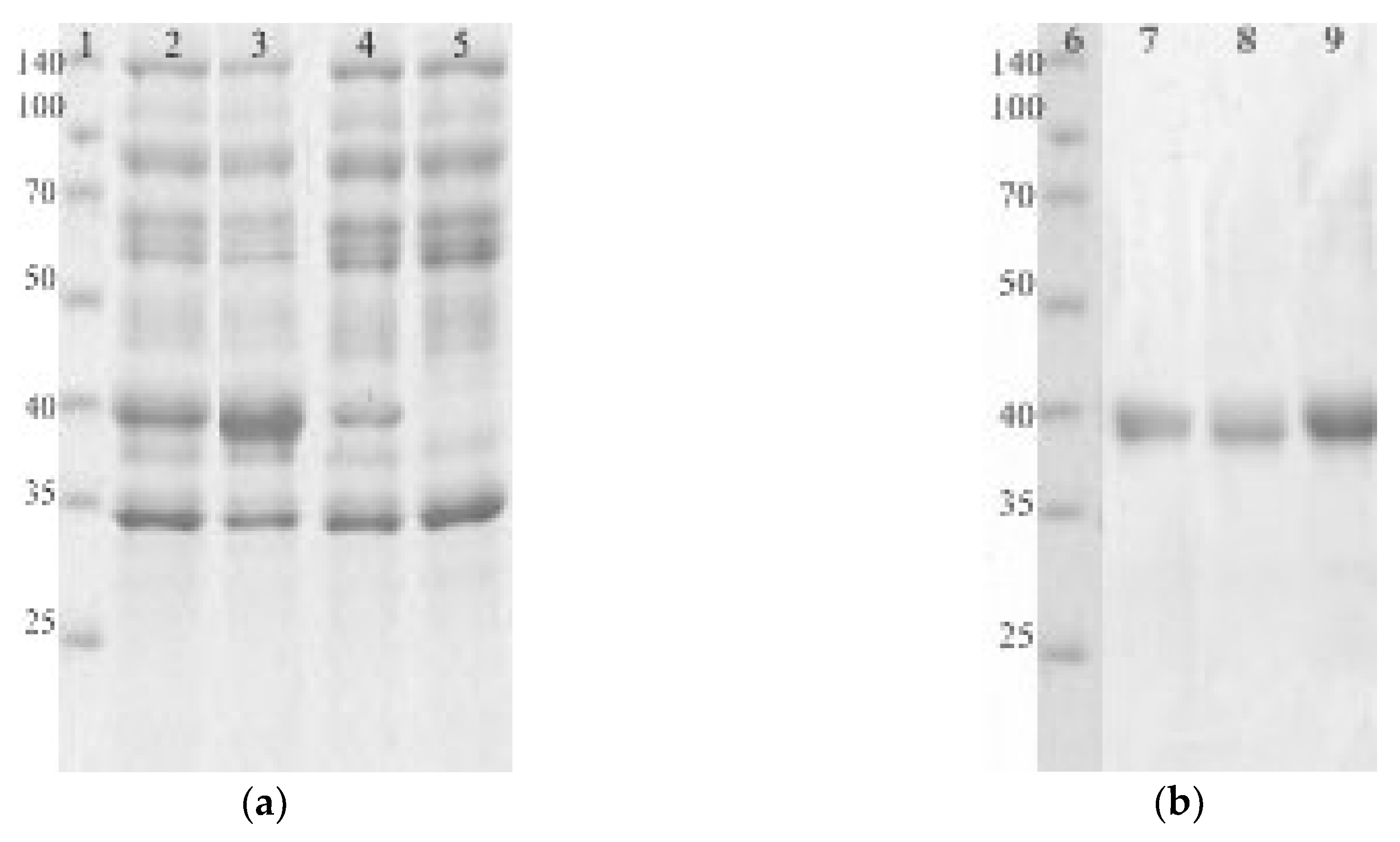 Ijms 20 01602 g002 Ijms 20 01602 g002