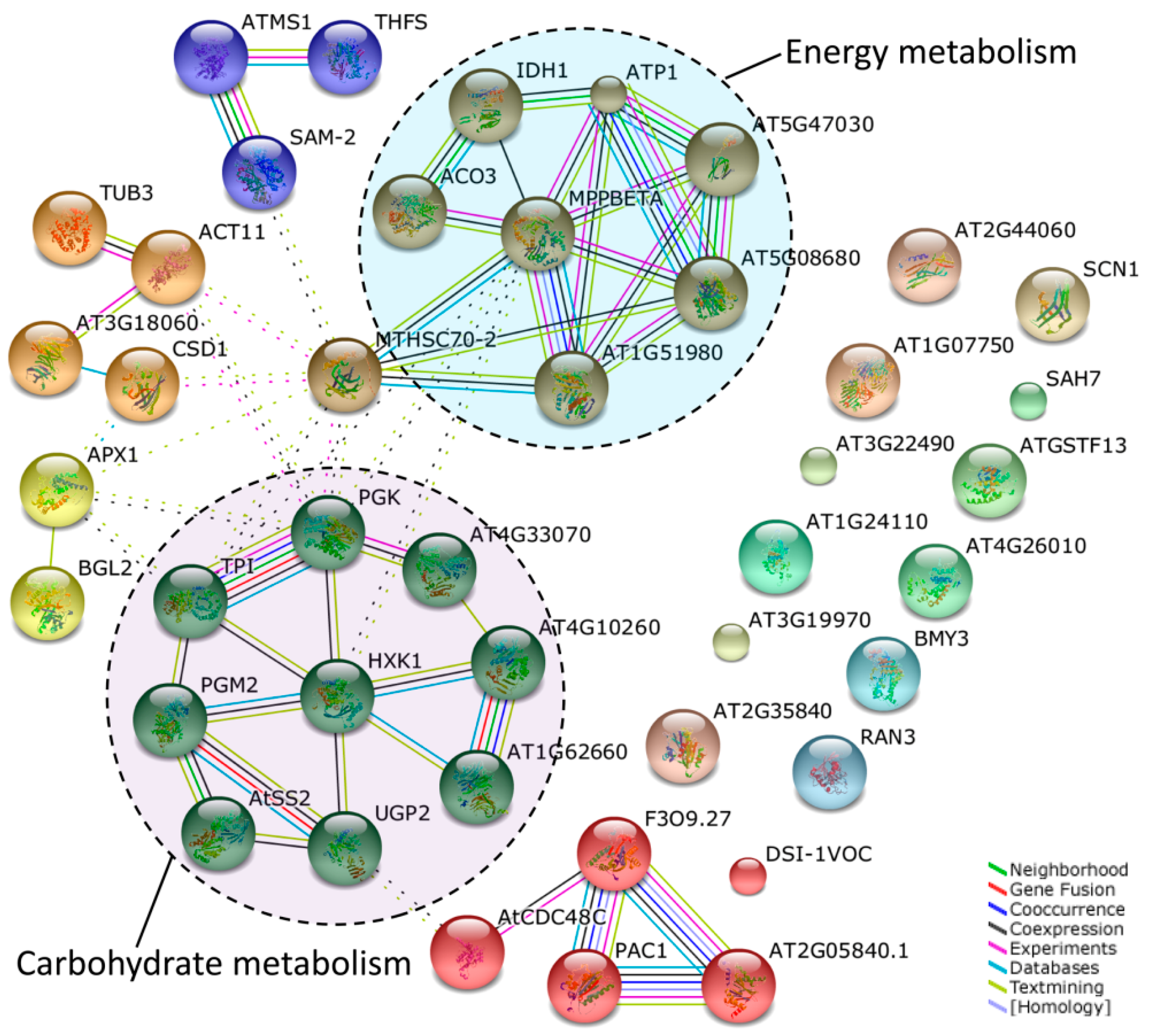 Ijms 20 01615 g004 Ijms 20 01615 g004