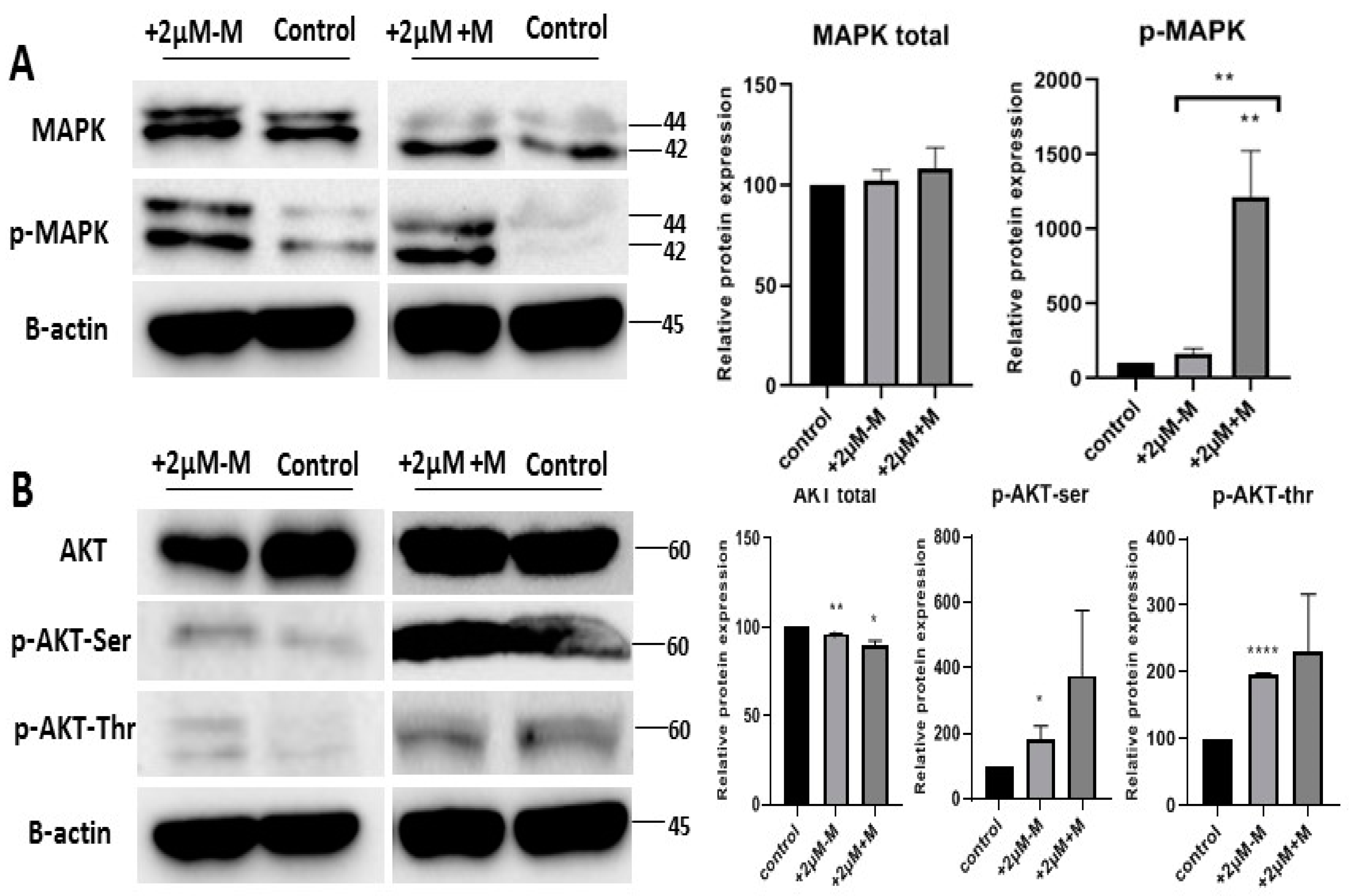 Ijms 20 01618 g005