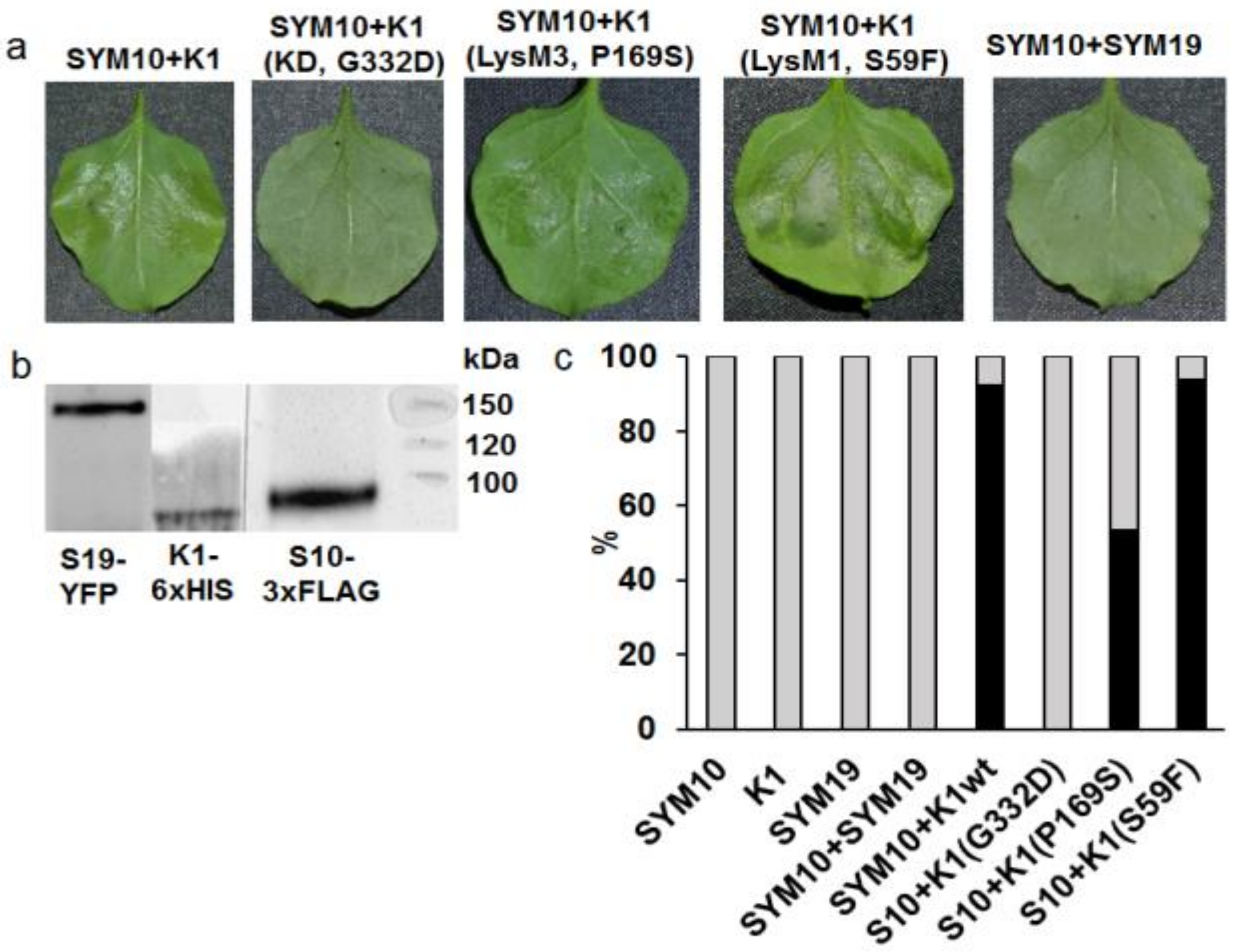 Ijms 20 01624 g003 550