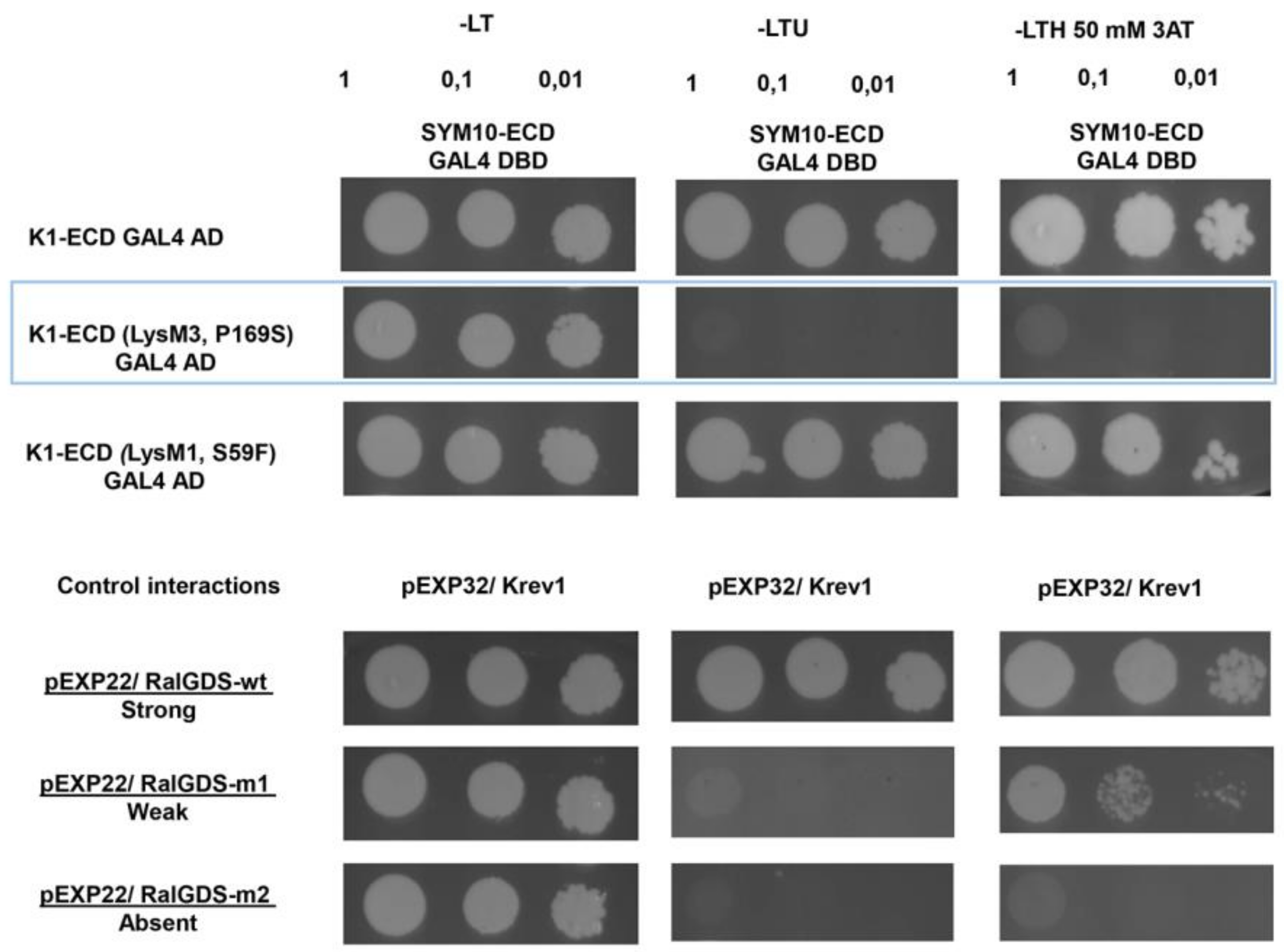 Ijms 20 01624 g004 550