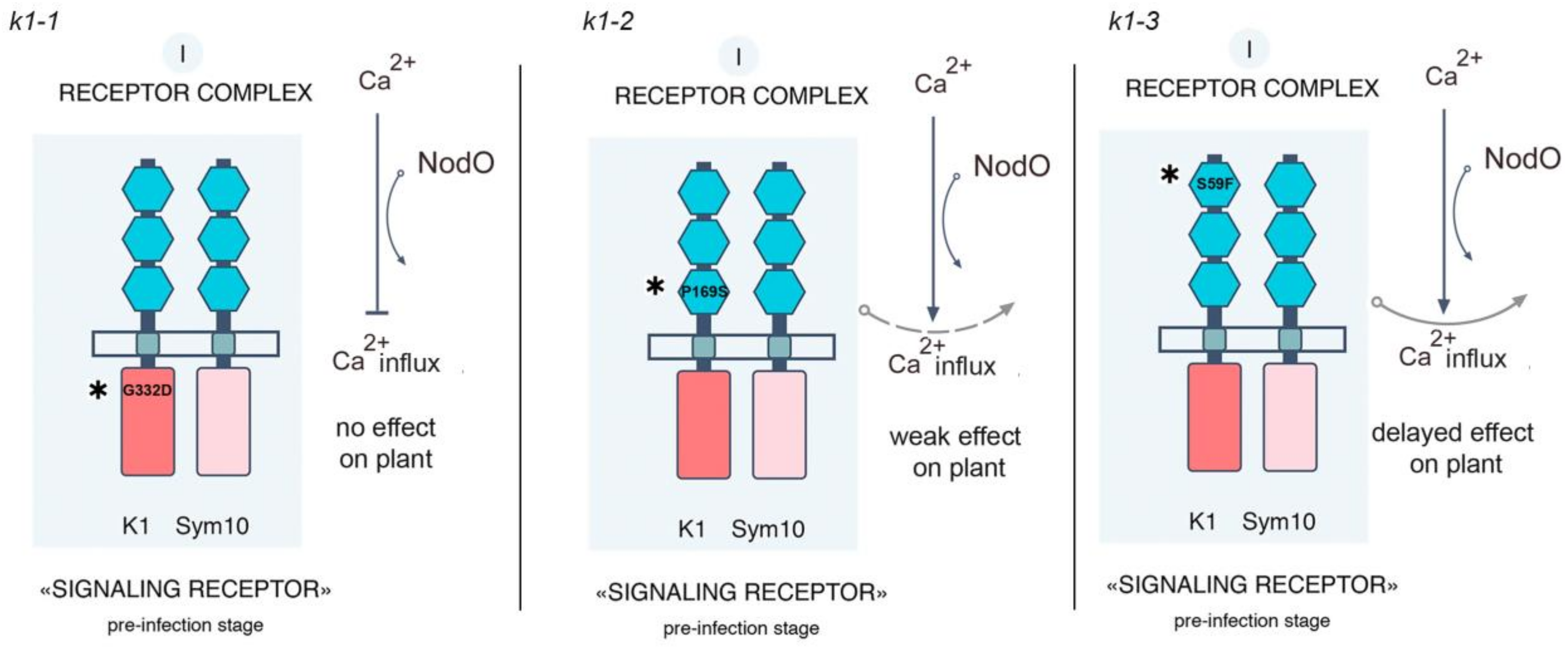 Ijms 20 01624 g009 550