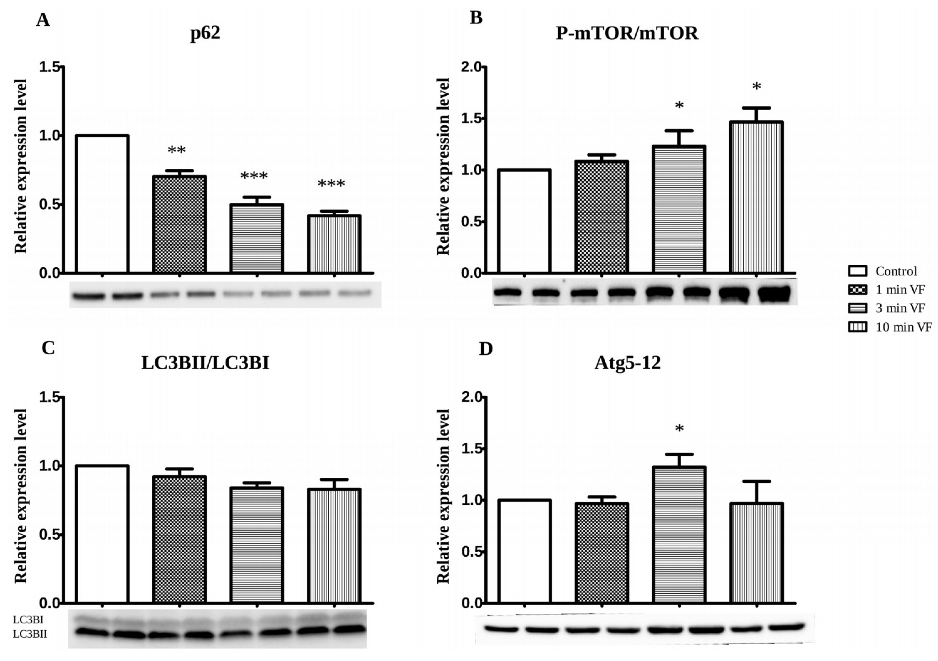Ijms 20 01628 g004 Ijms 20 01628 g004