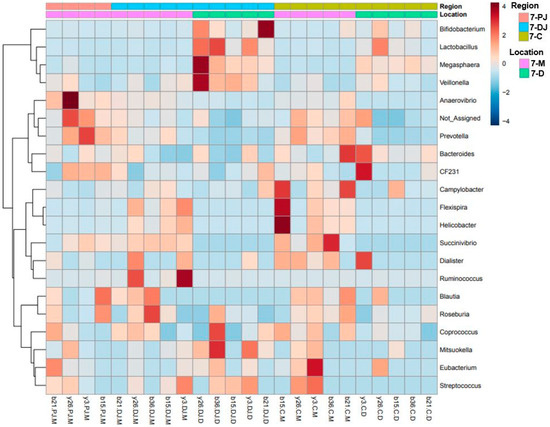 Characterization of Microbiota Associated with Digesta and