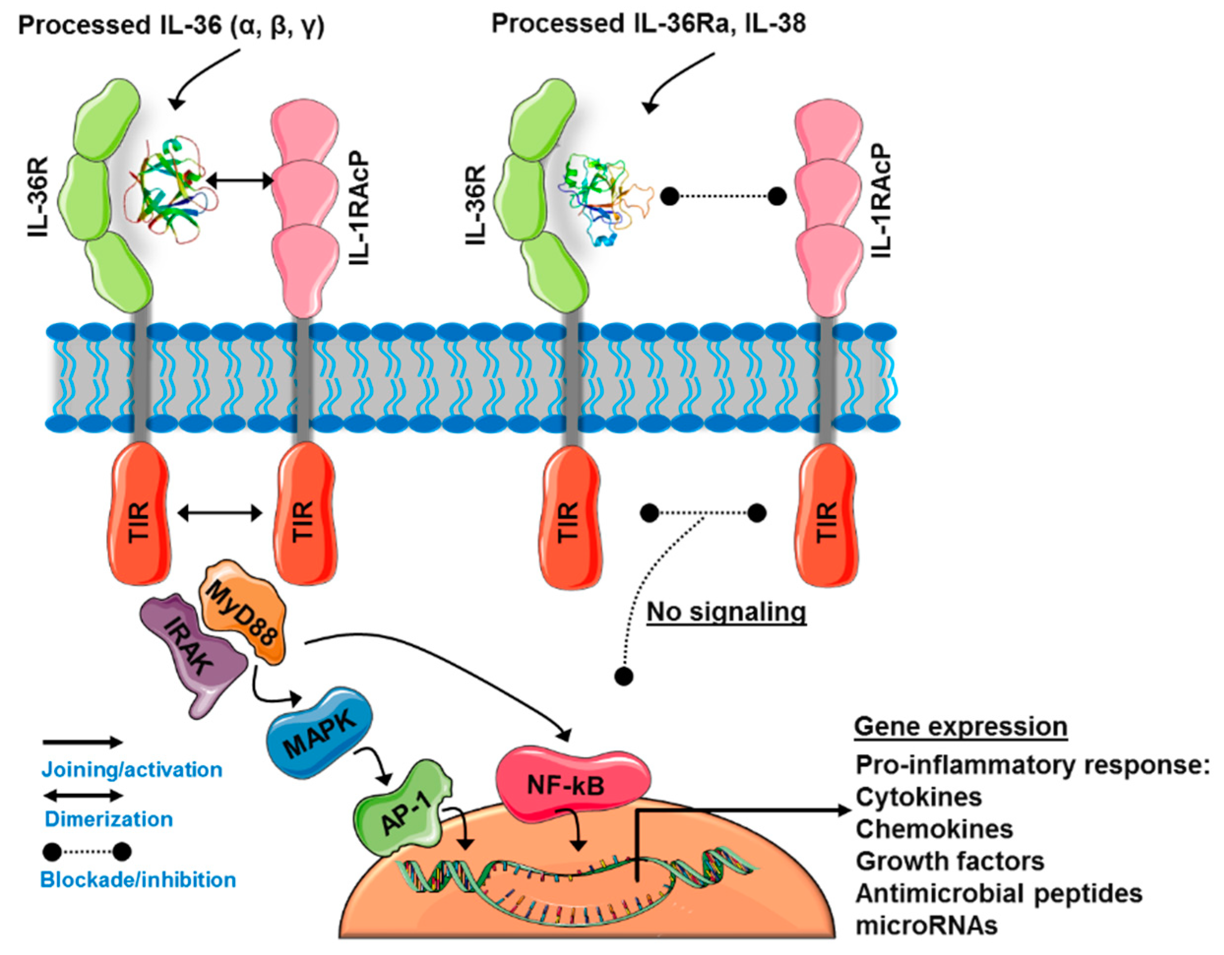 Ijms 20 01649 g002 Ijms 20 01649 g002