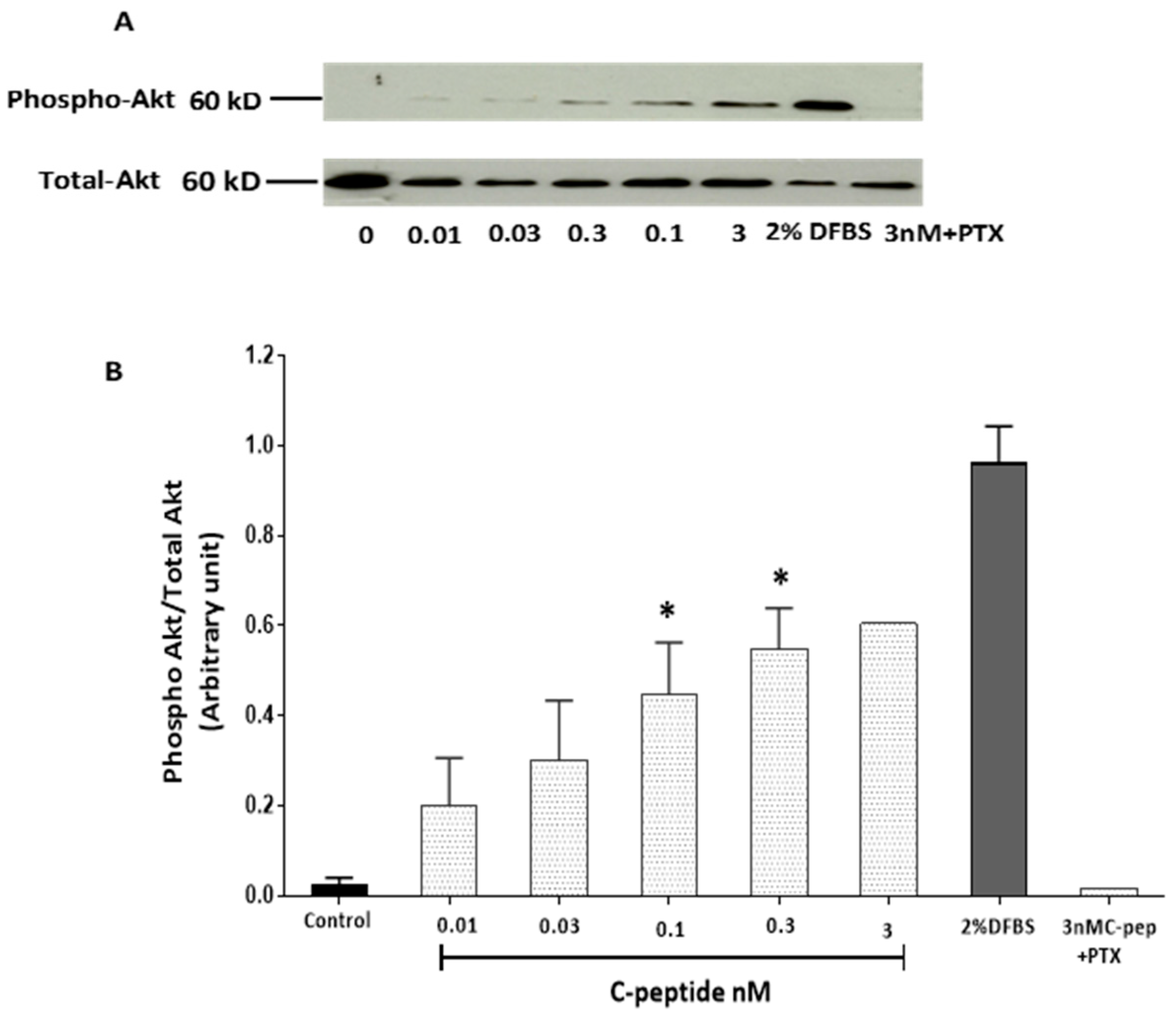Ijms 20 01654 g002 Ijms 20 01654 g002