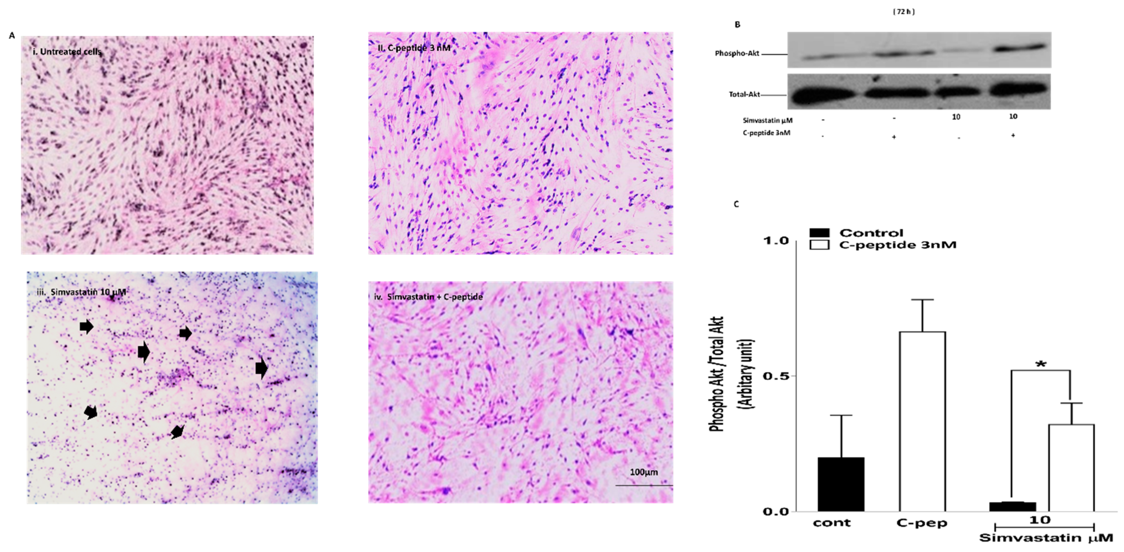 Ijms 20 01654 g004 Ijms 20 01654 g004