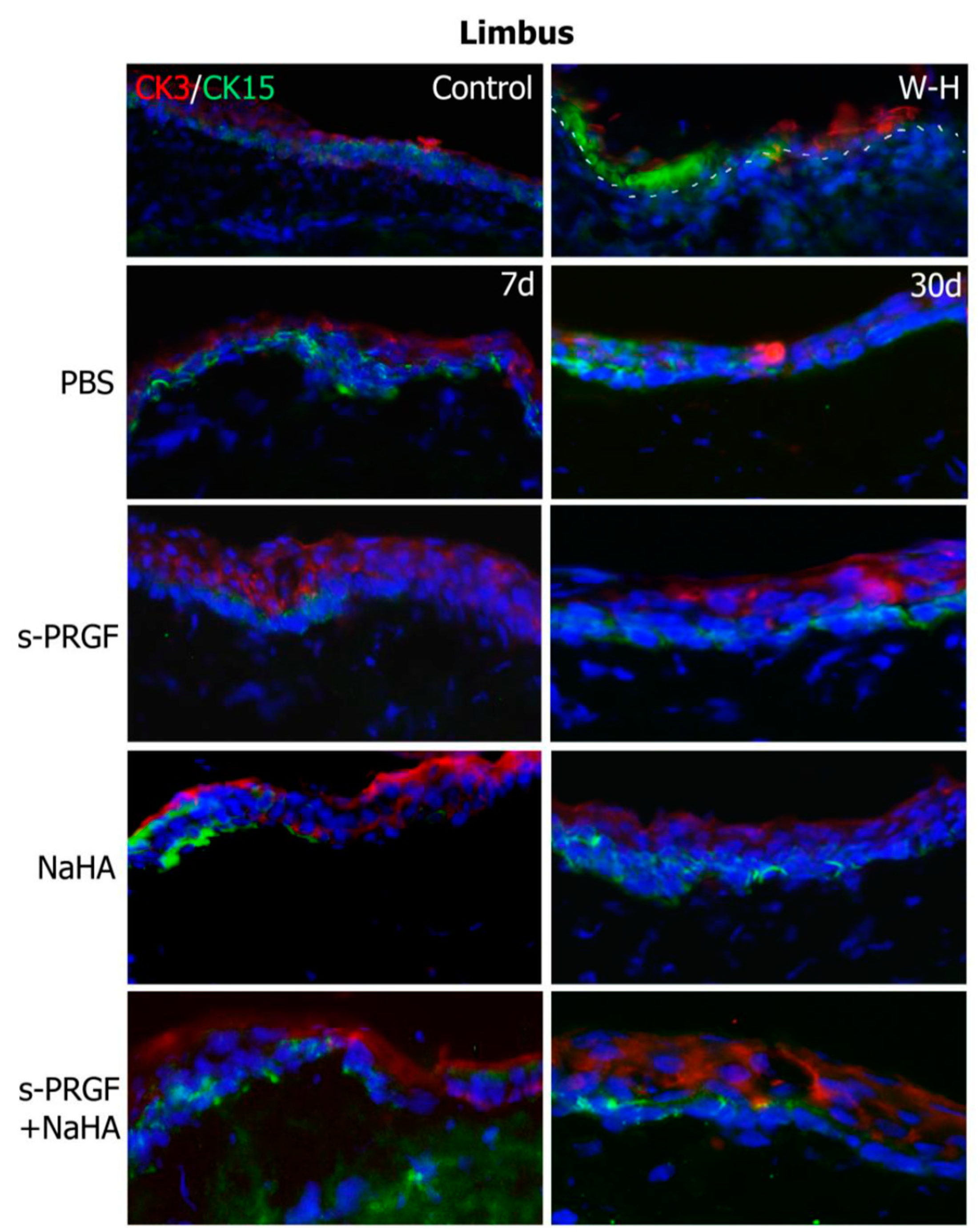 Ijms 20 01655 g007 Ijms 20 01655 g007