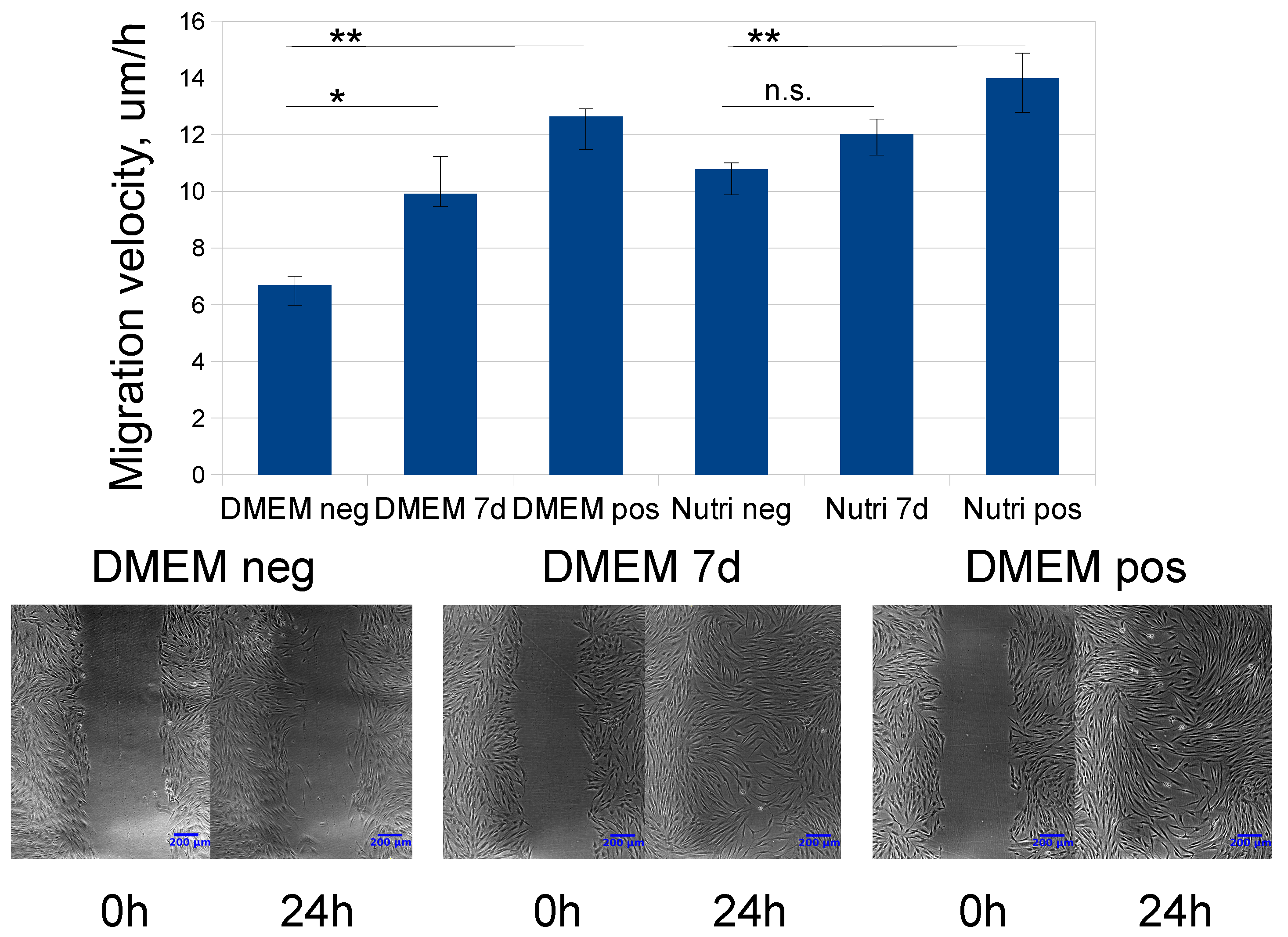 Ijms 20 01656 g003 Ijms 20 01656 g003