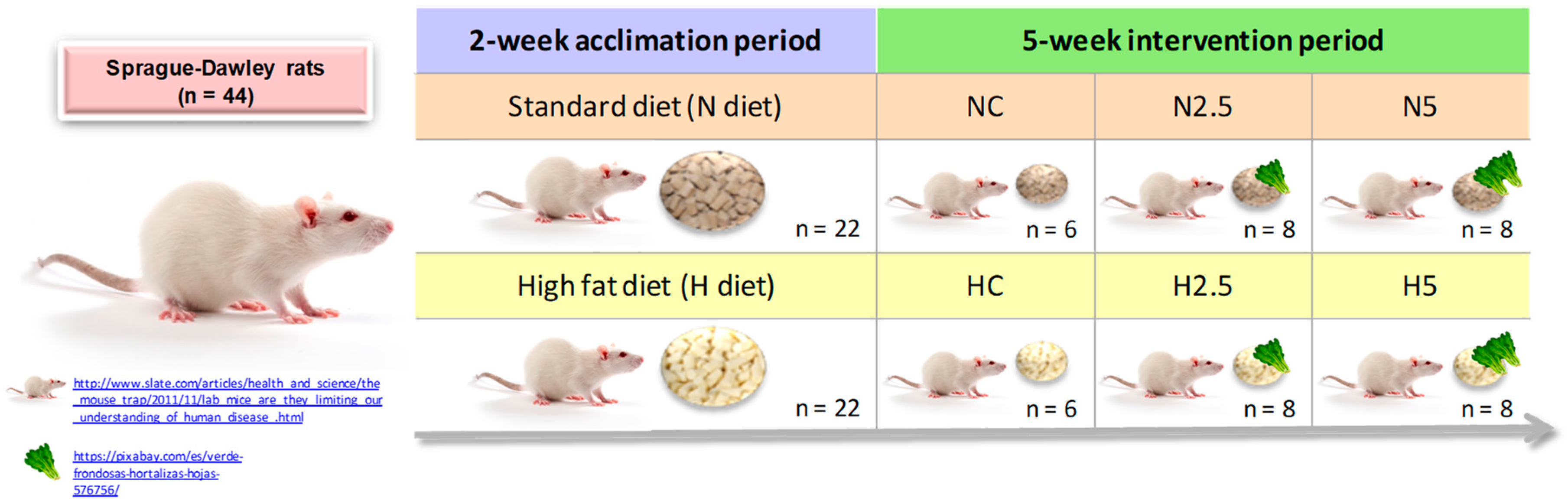 Ijms 20 01662 g007 550