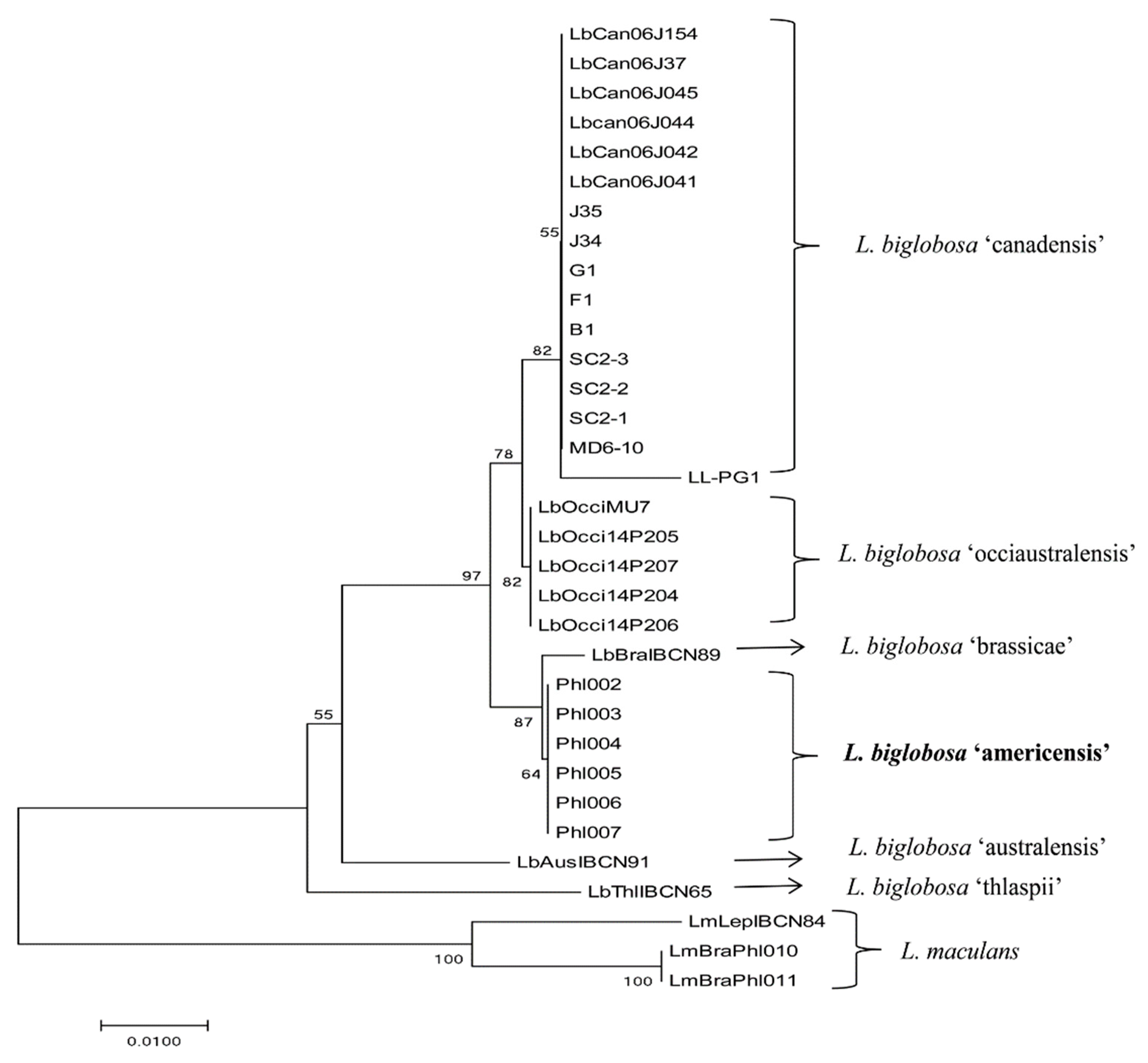 Ijms 20 01668 g003