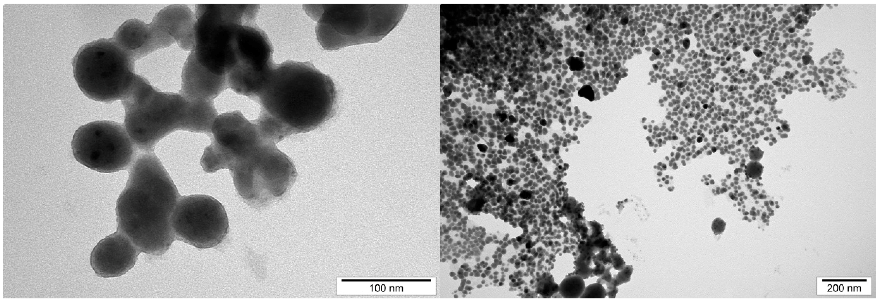 Ijms 20 01672 g009 Ijms 20 01672 g009