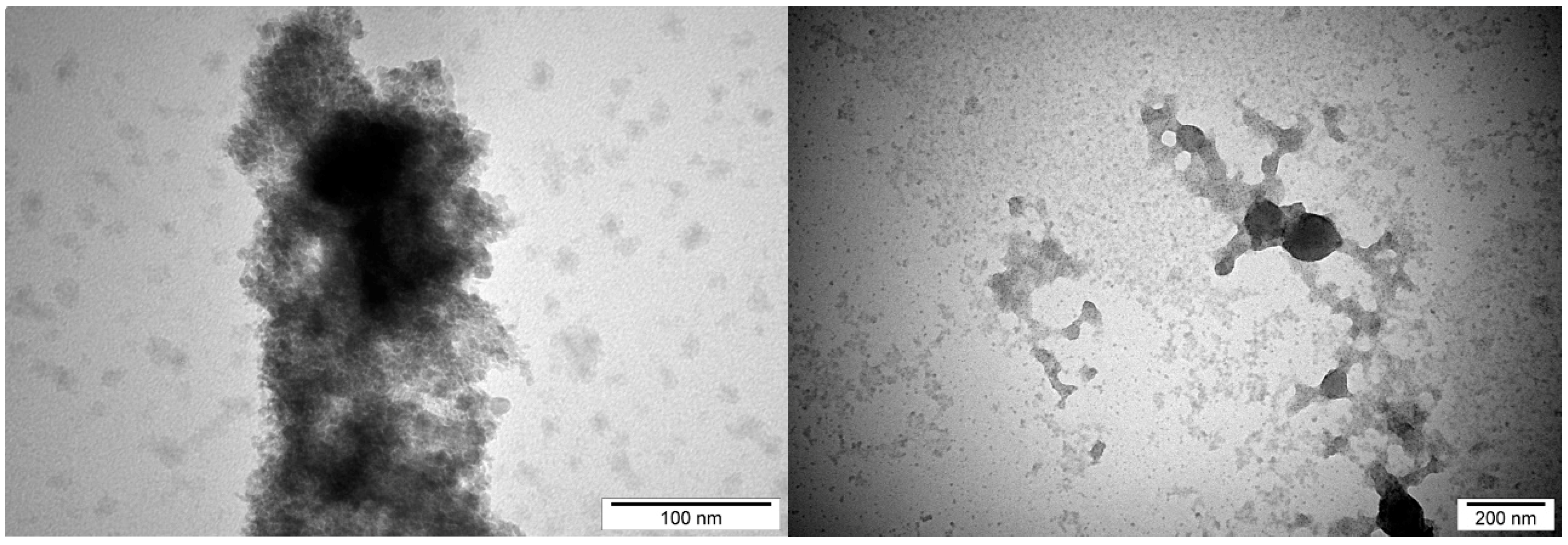 Ijms 20 01672 g010 Ijms 20 01672 g010