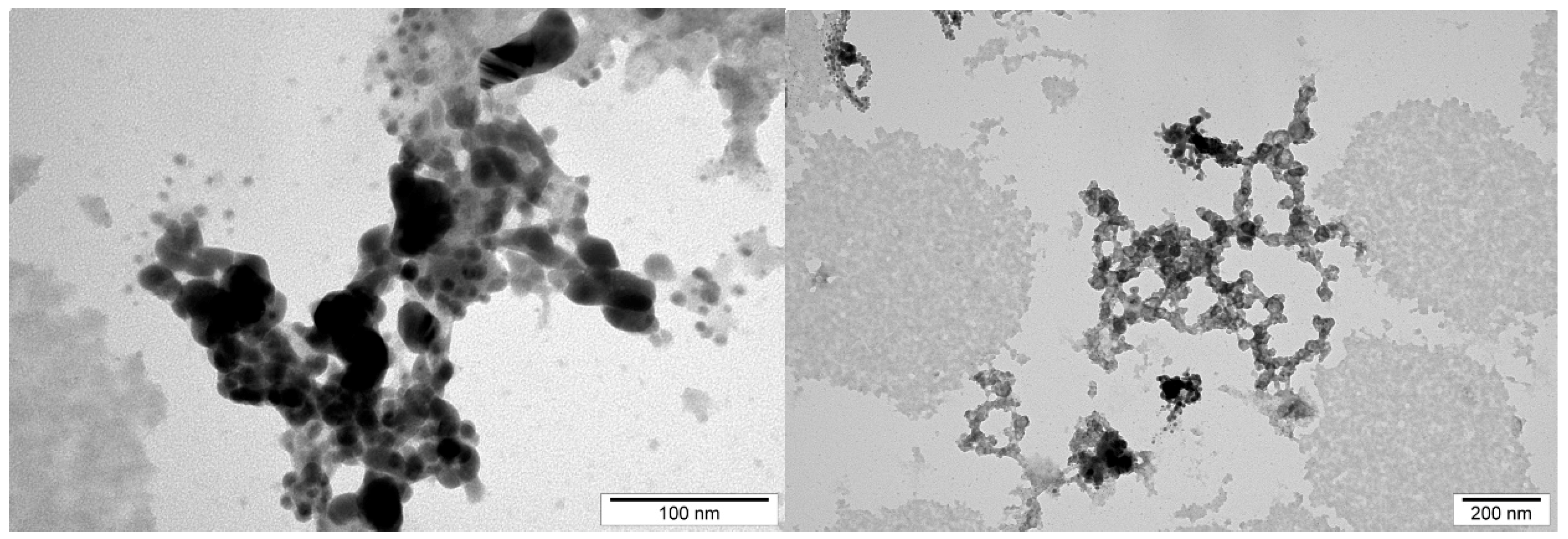 Ijms 20 01672 g011 Ijms 20 01672 g011